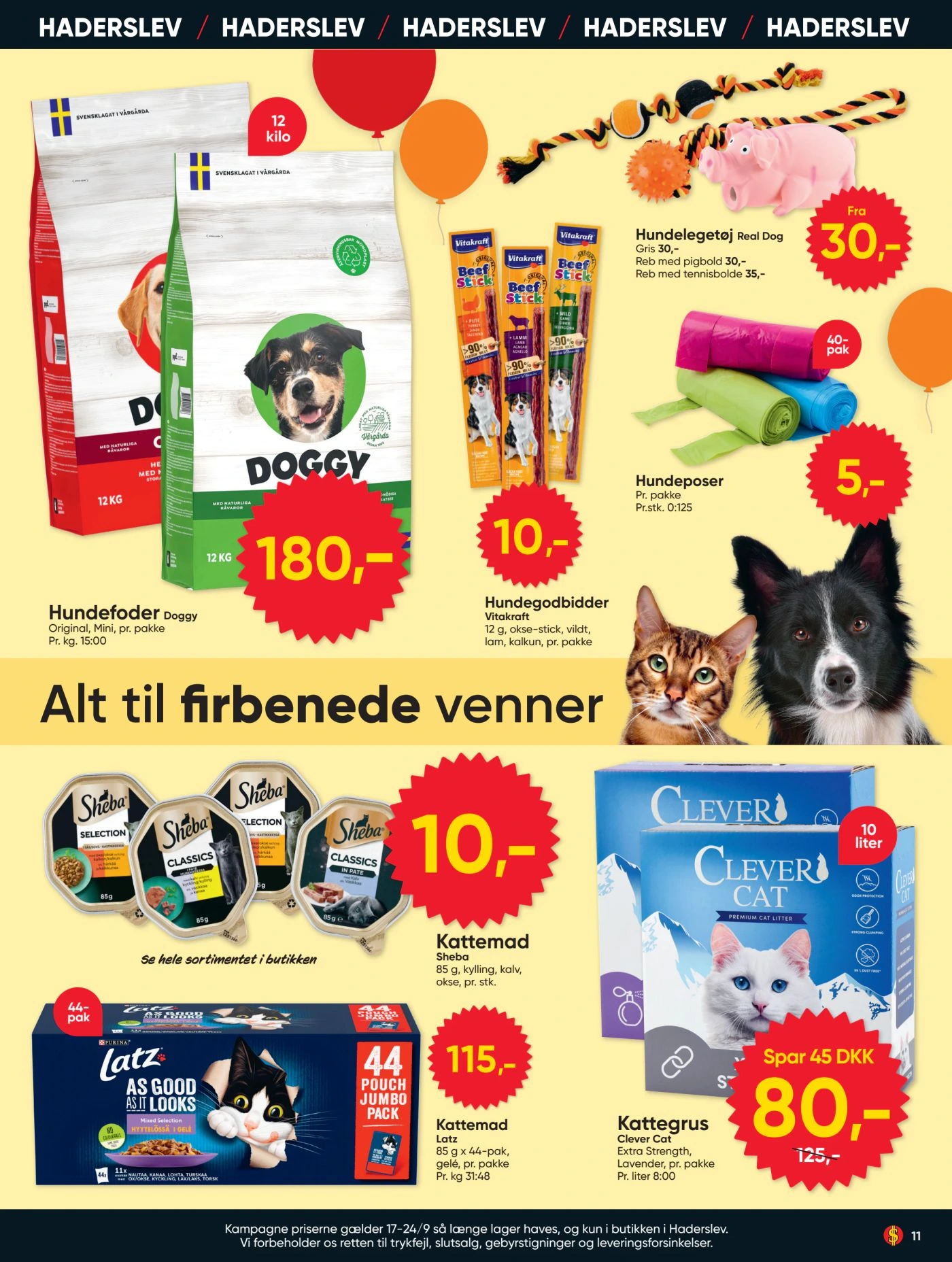 Flyer page 11