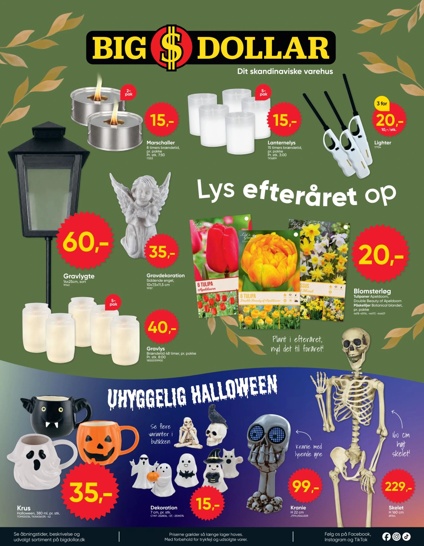 Flyer page 8