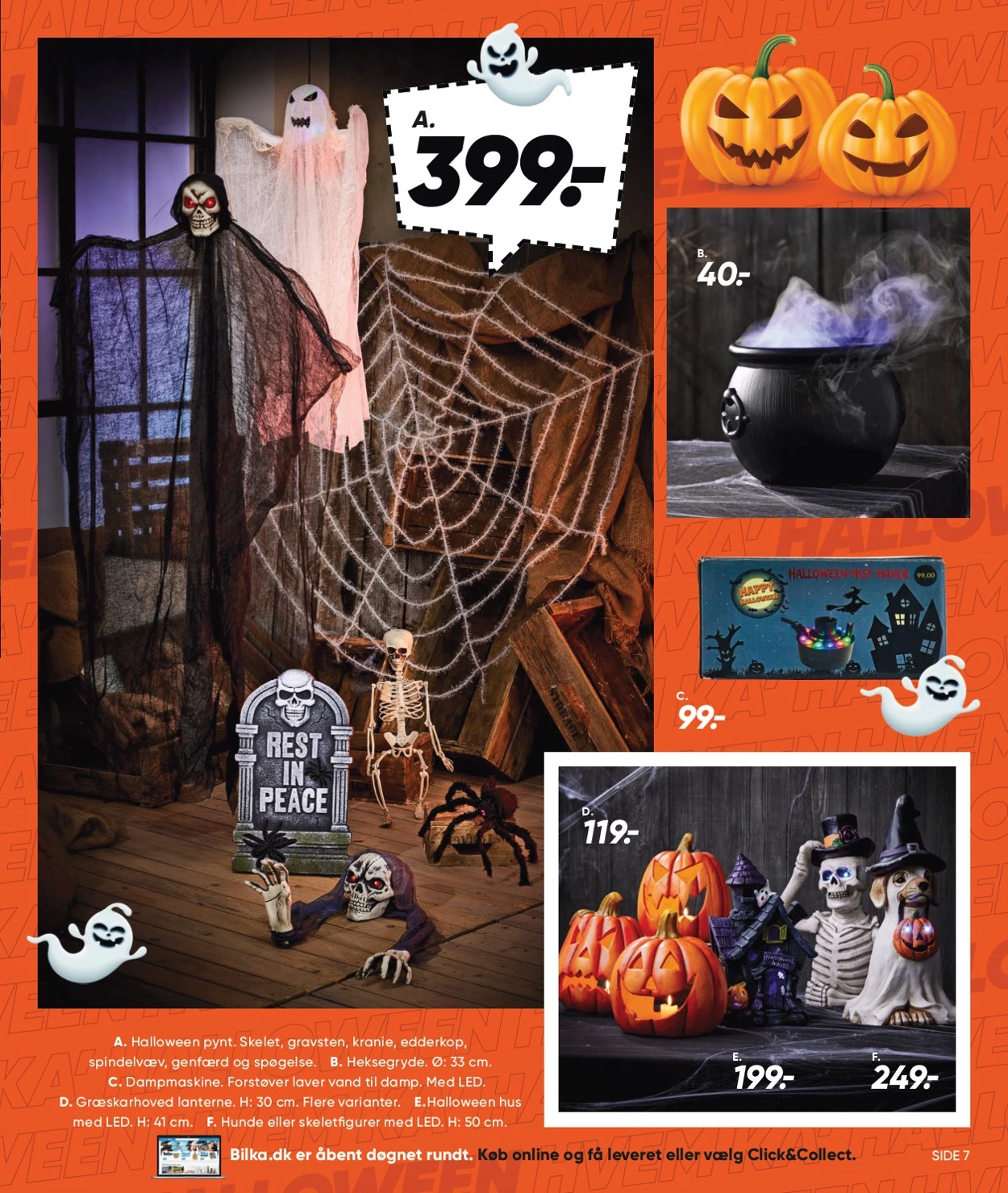 Flyer page 7
