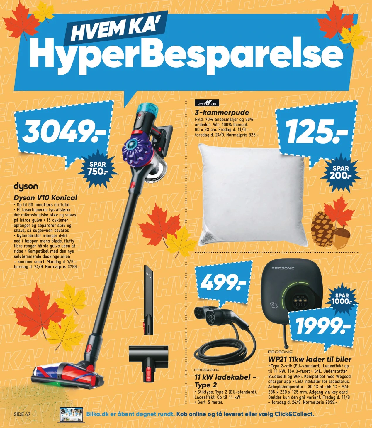 Flyer page 2