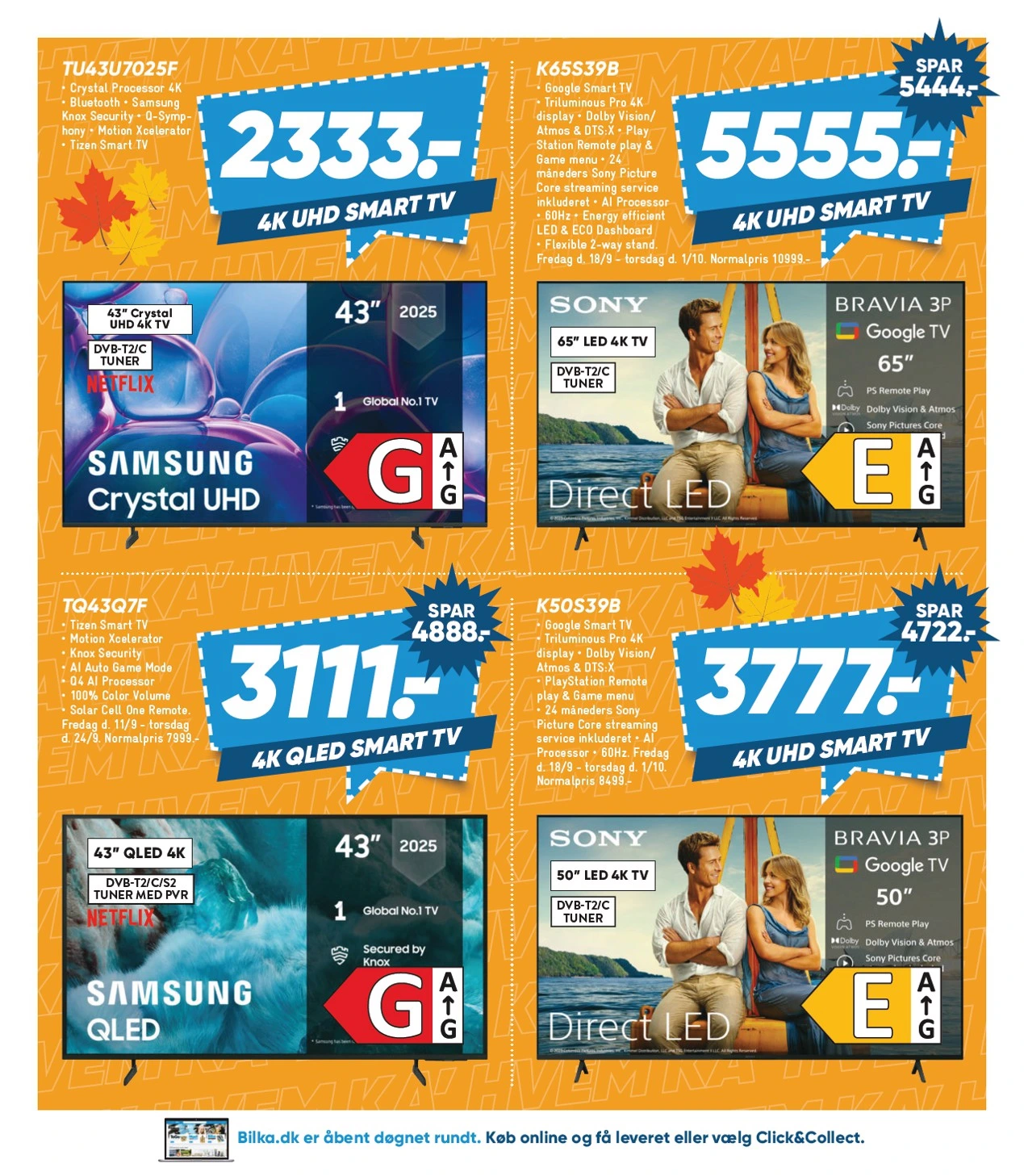 Flyer page 31