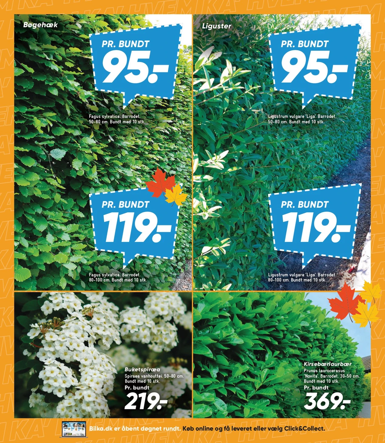 Flyer page 32
