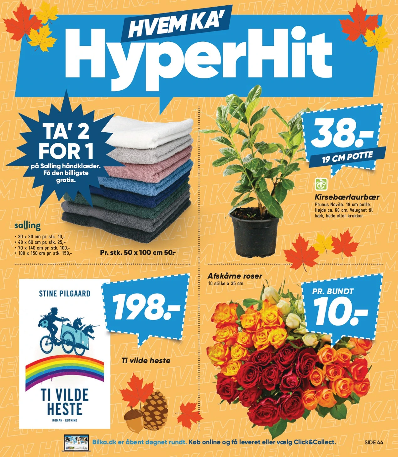 Flyer page 5