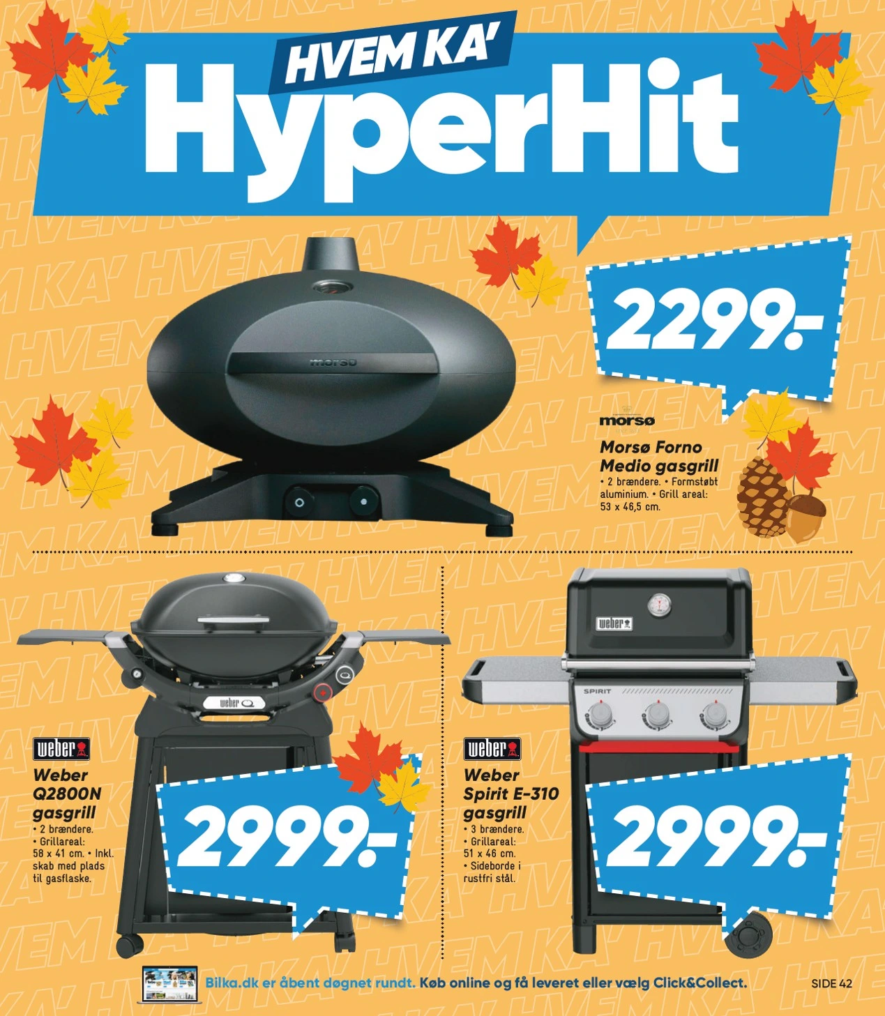 Flyer page 7