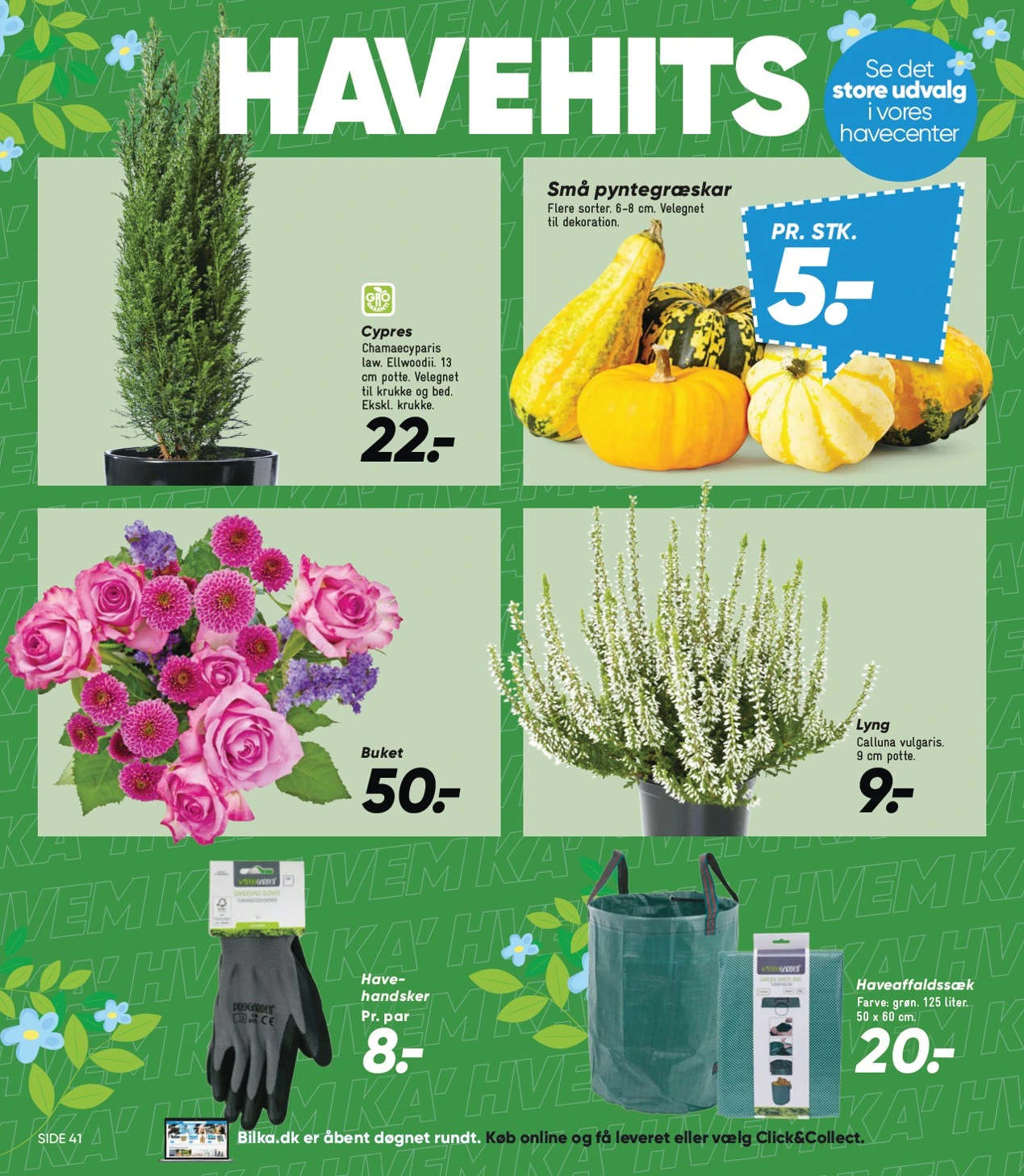 Flyer page 8