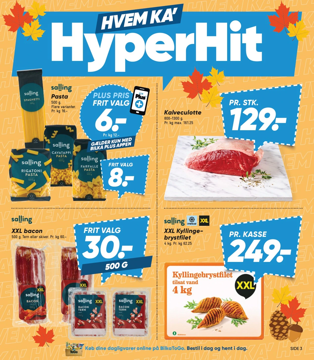 Flyer page 3