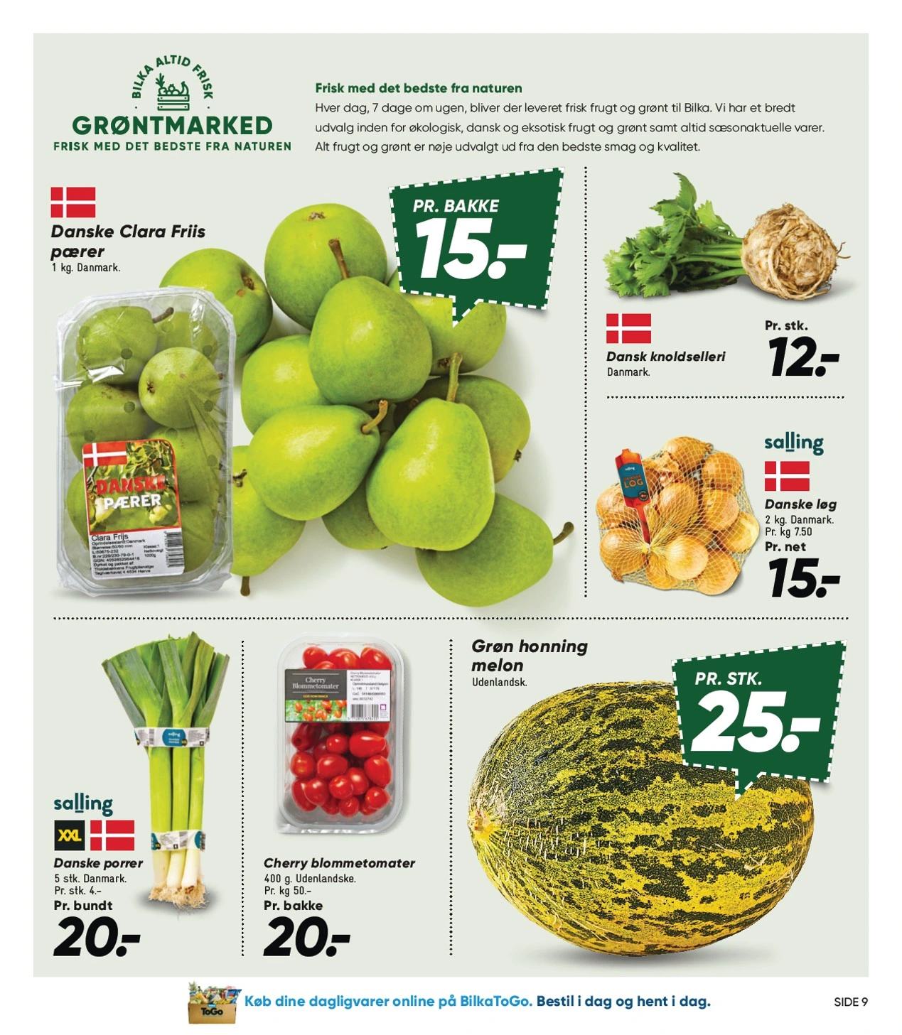Flyer page 9