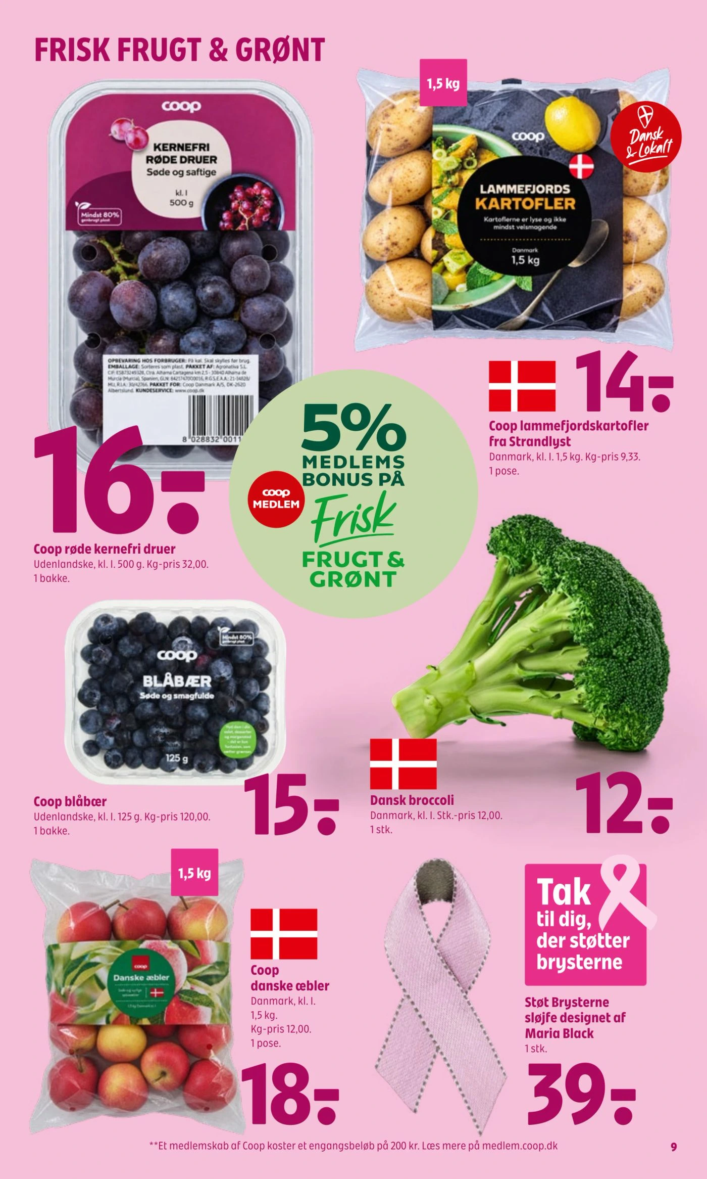Flyer page 10