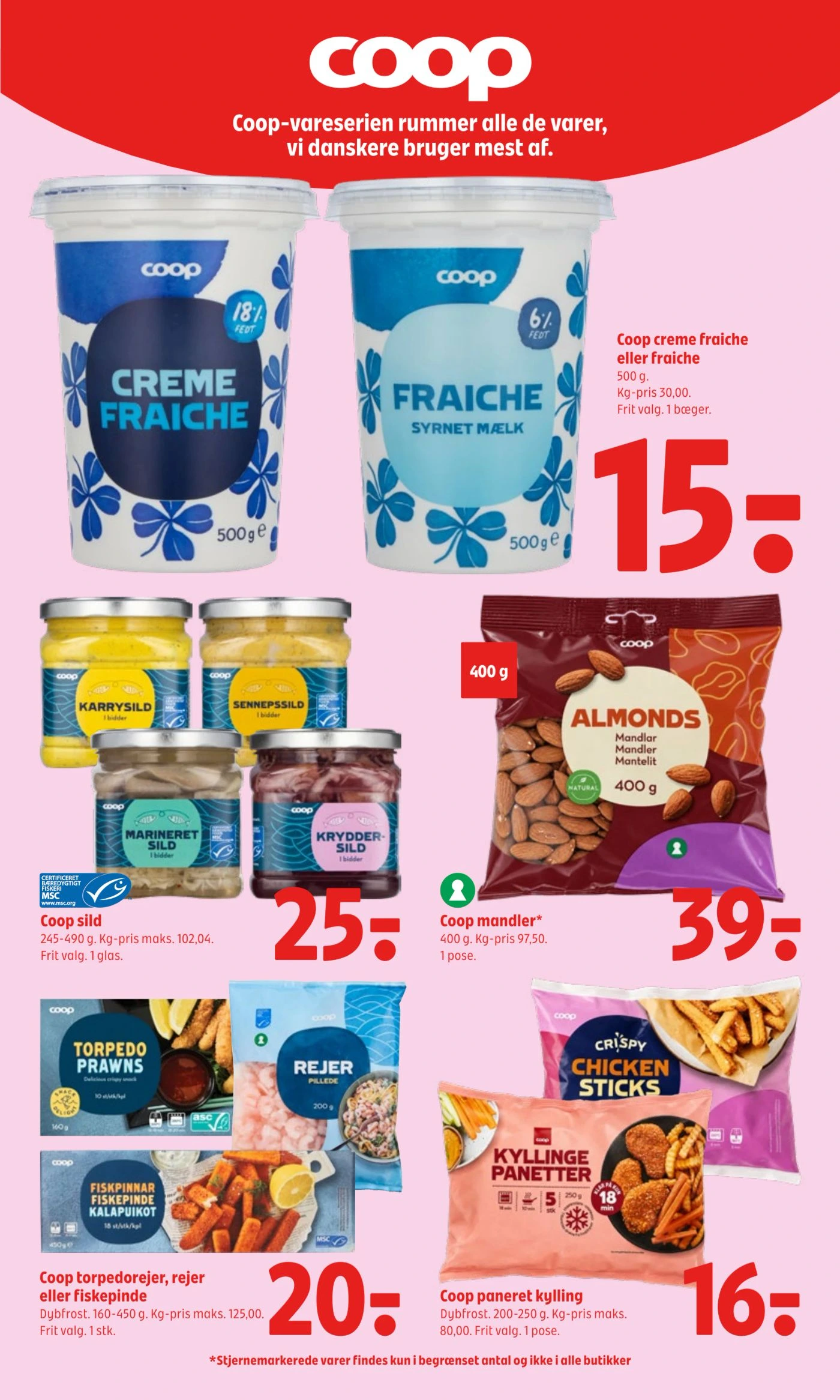 Flyer page 11