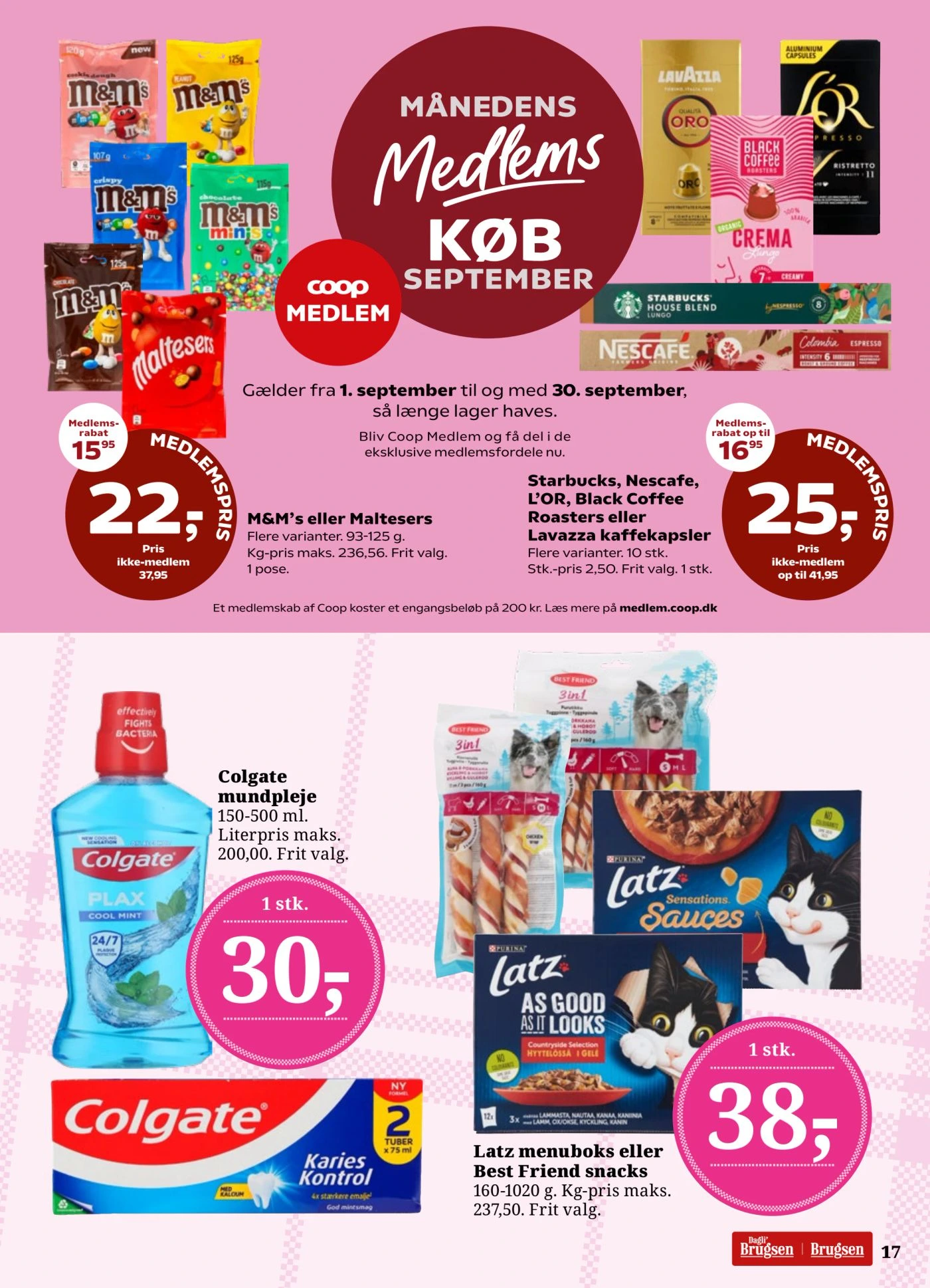 Flyer page 19