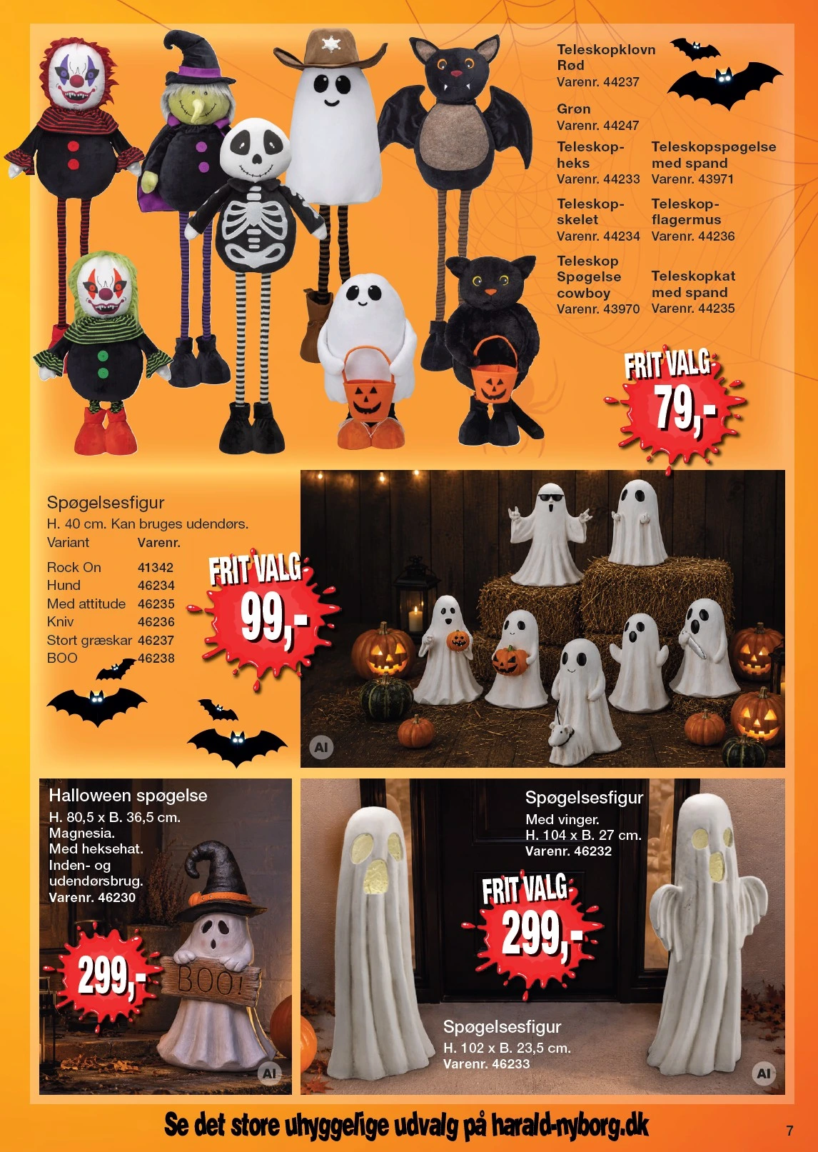 Flyer page 51