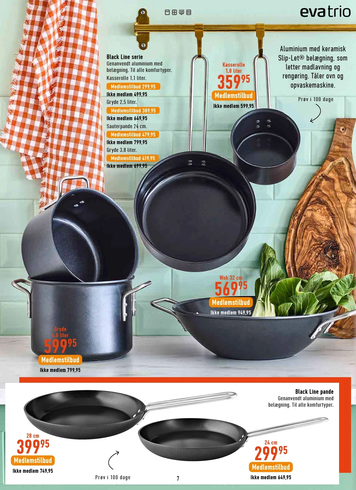 Flyer page 7
