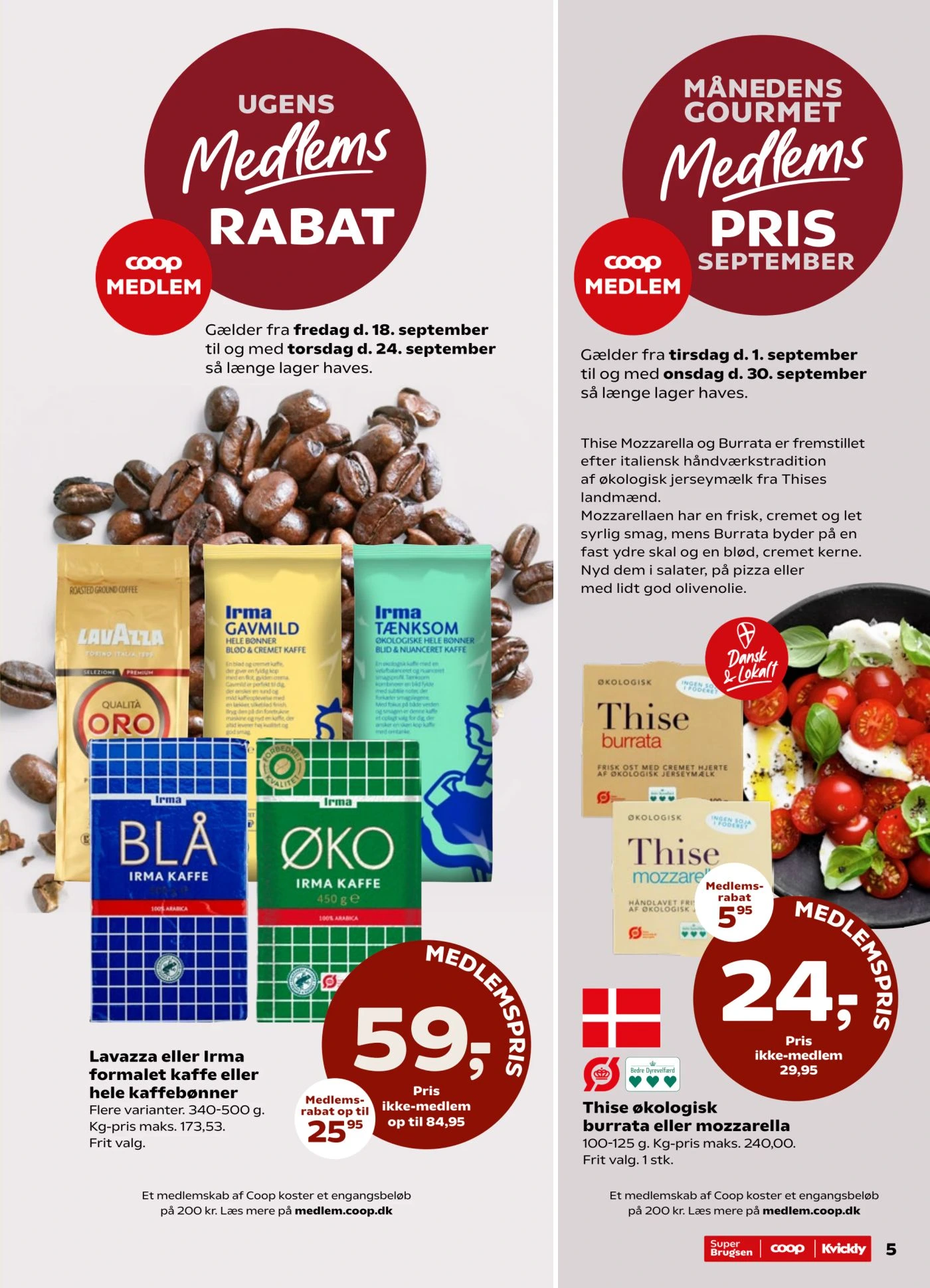 Flyer page 5