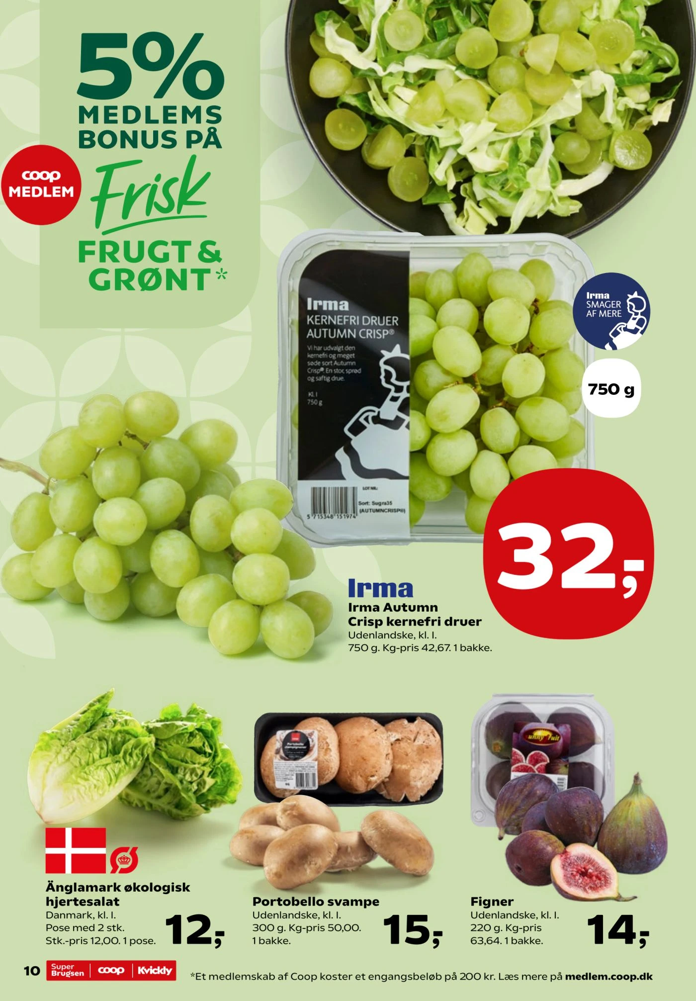Flyer page 10