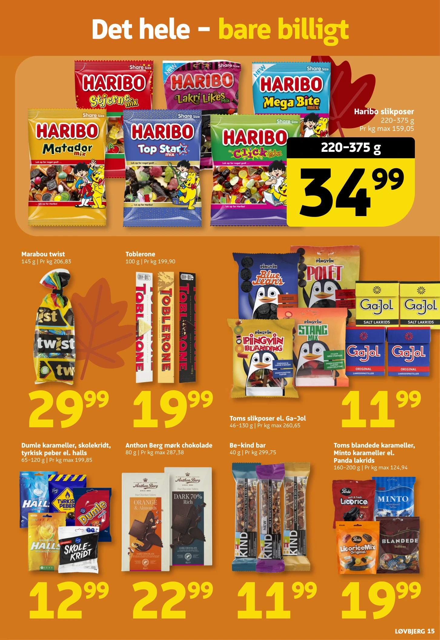 Flyer page 15