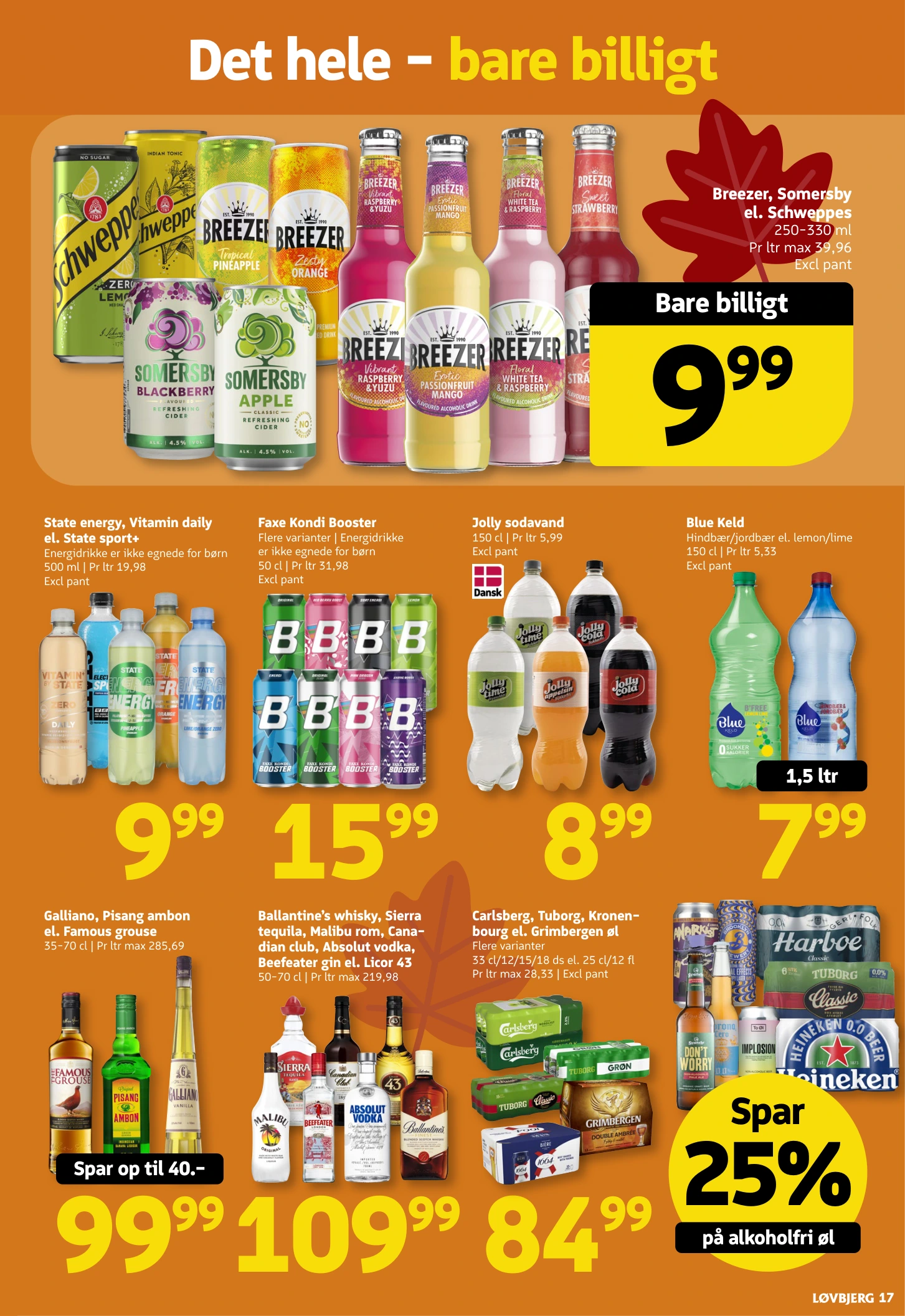 Flyer page 17