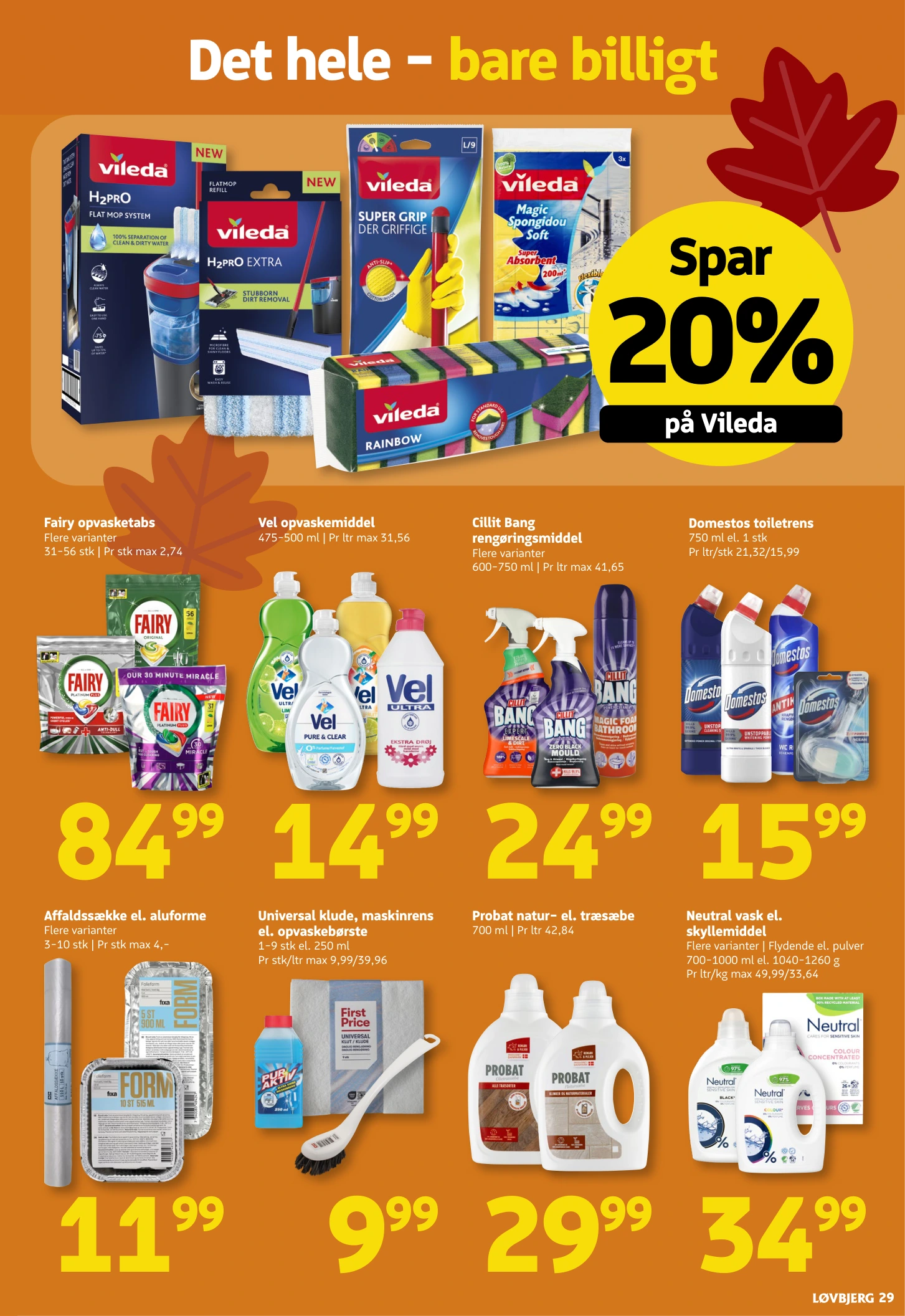 Flyer page 29