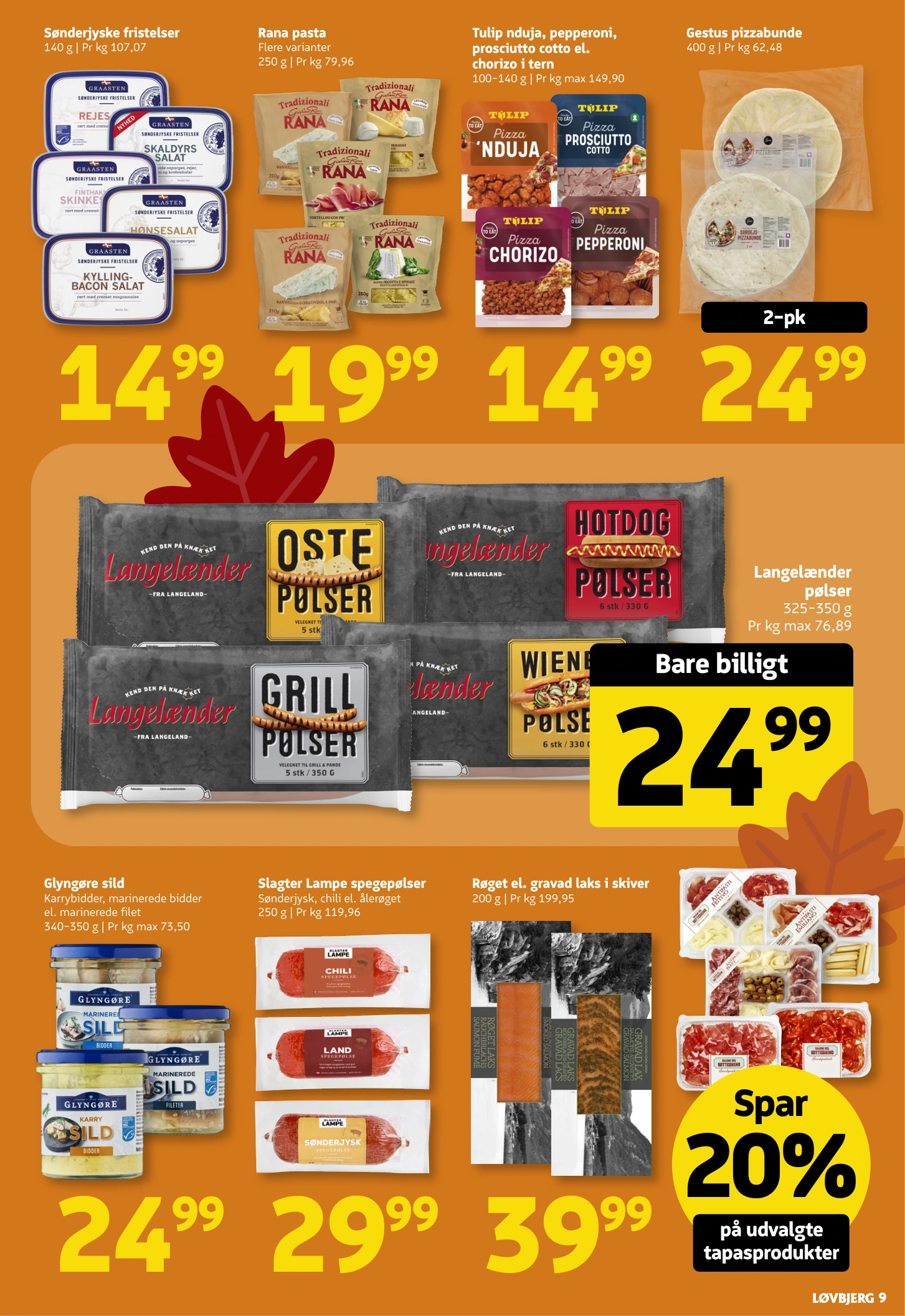 Flyer page 9