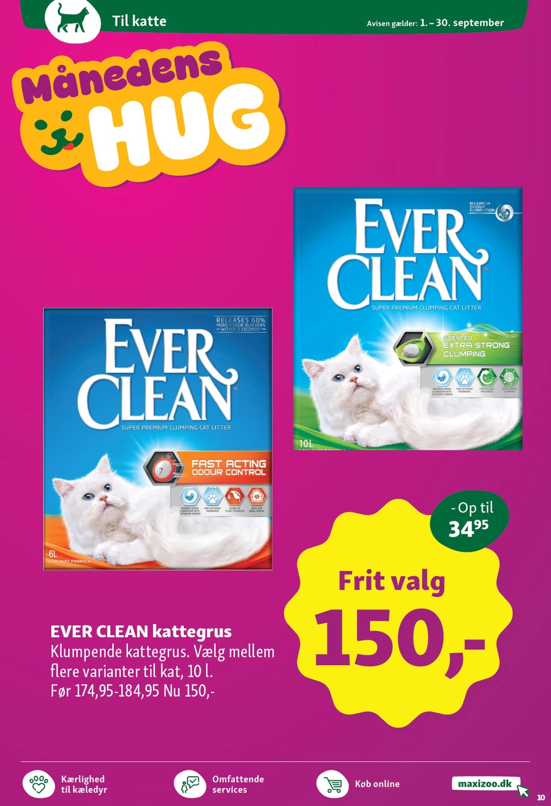 Flyer page 10