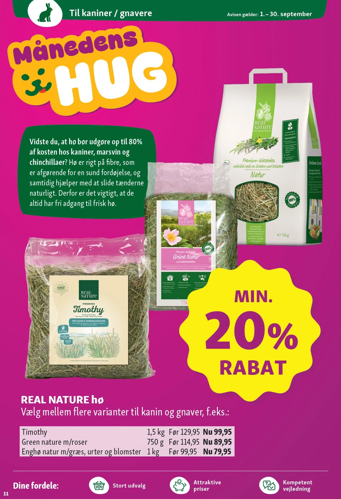 Flyer page 11