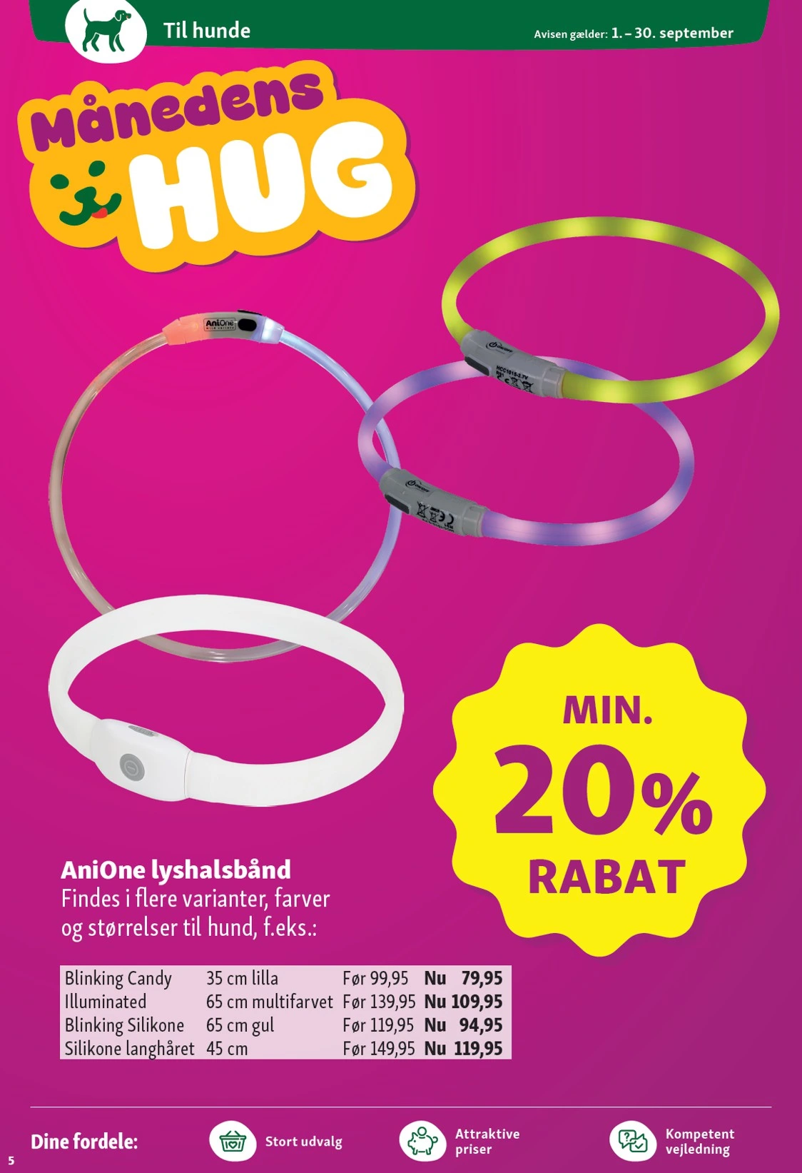 Flyer page 5