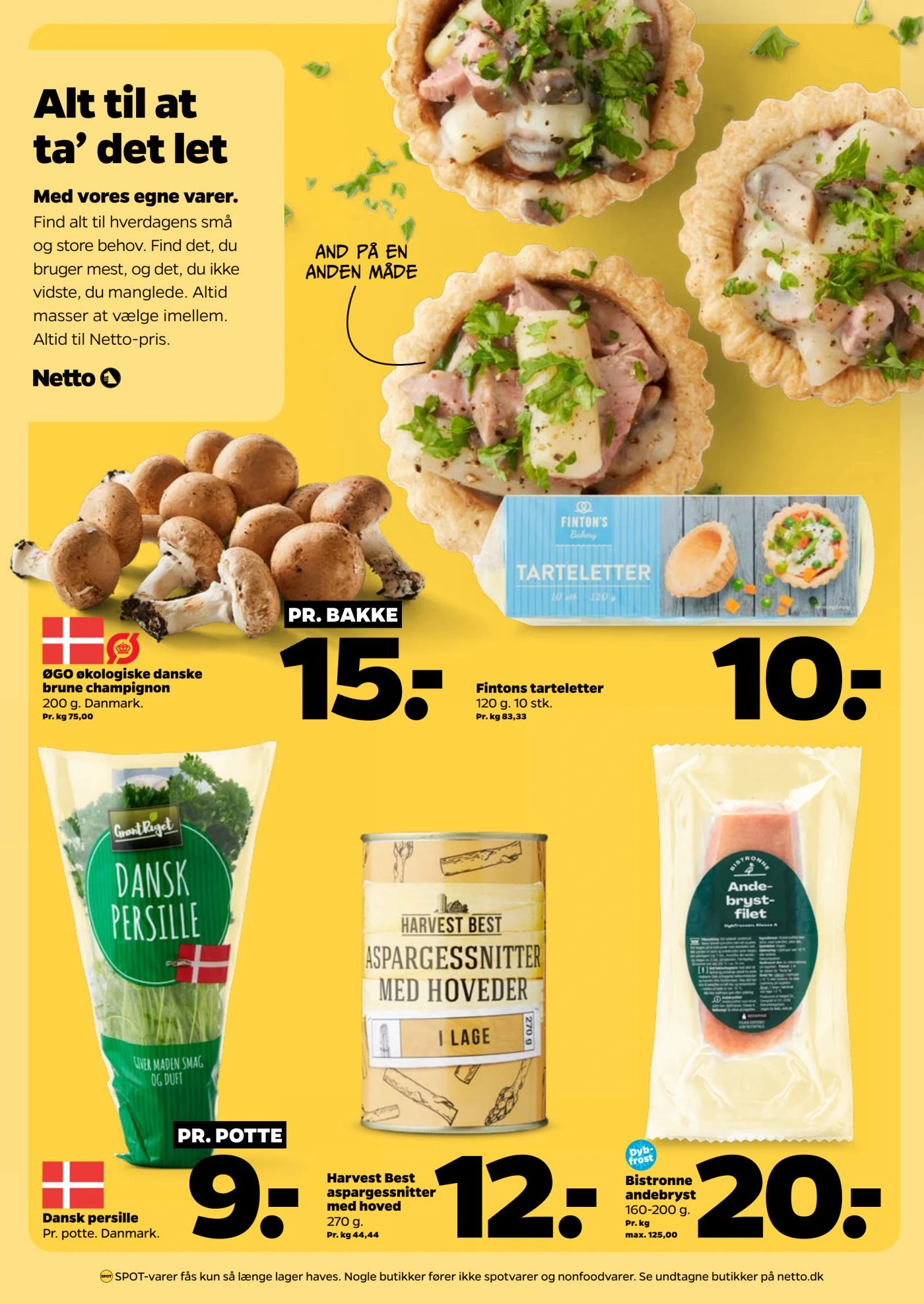 Flyer page 13