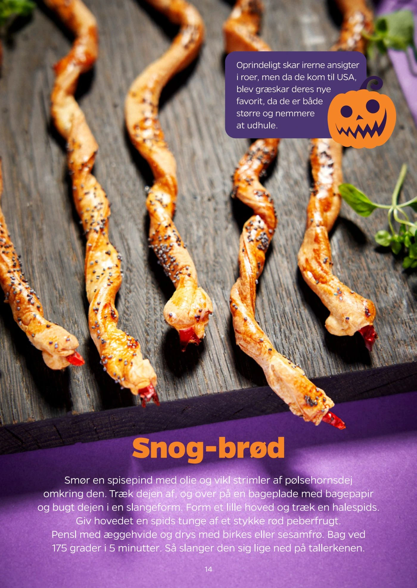 Flyer page 14