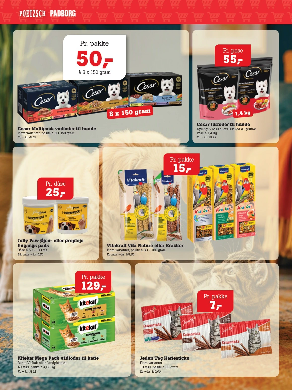 Flyer page 45