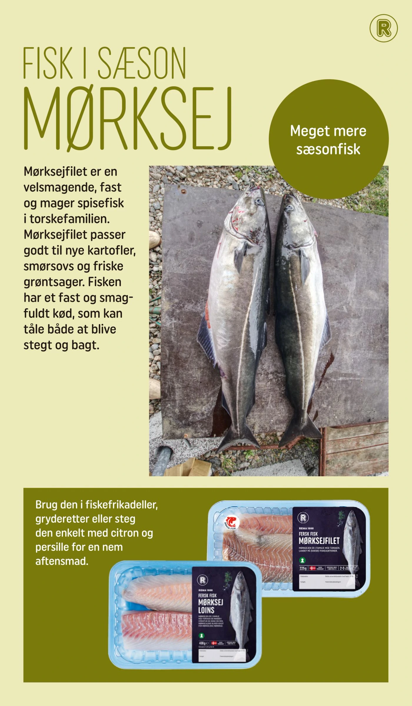 Flyer page 12
