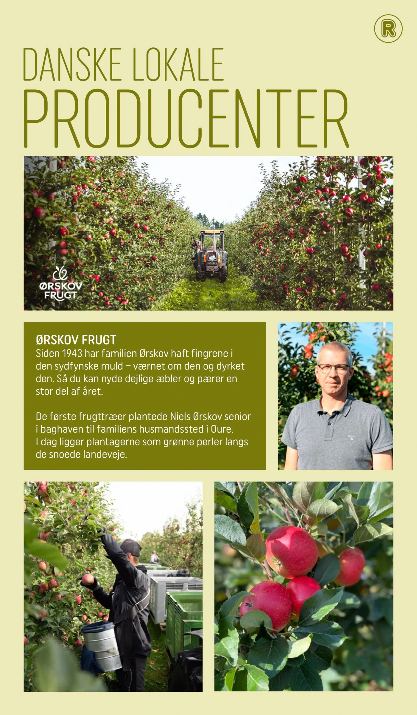 Flyer page 17