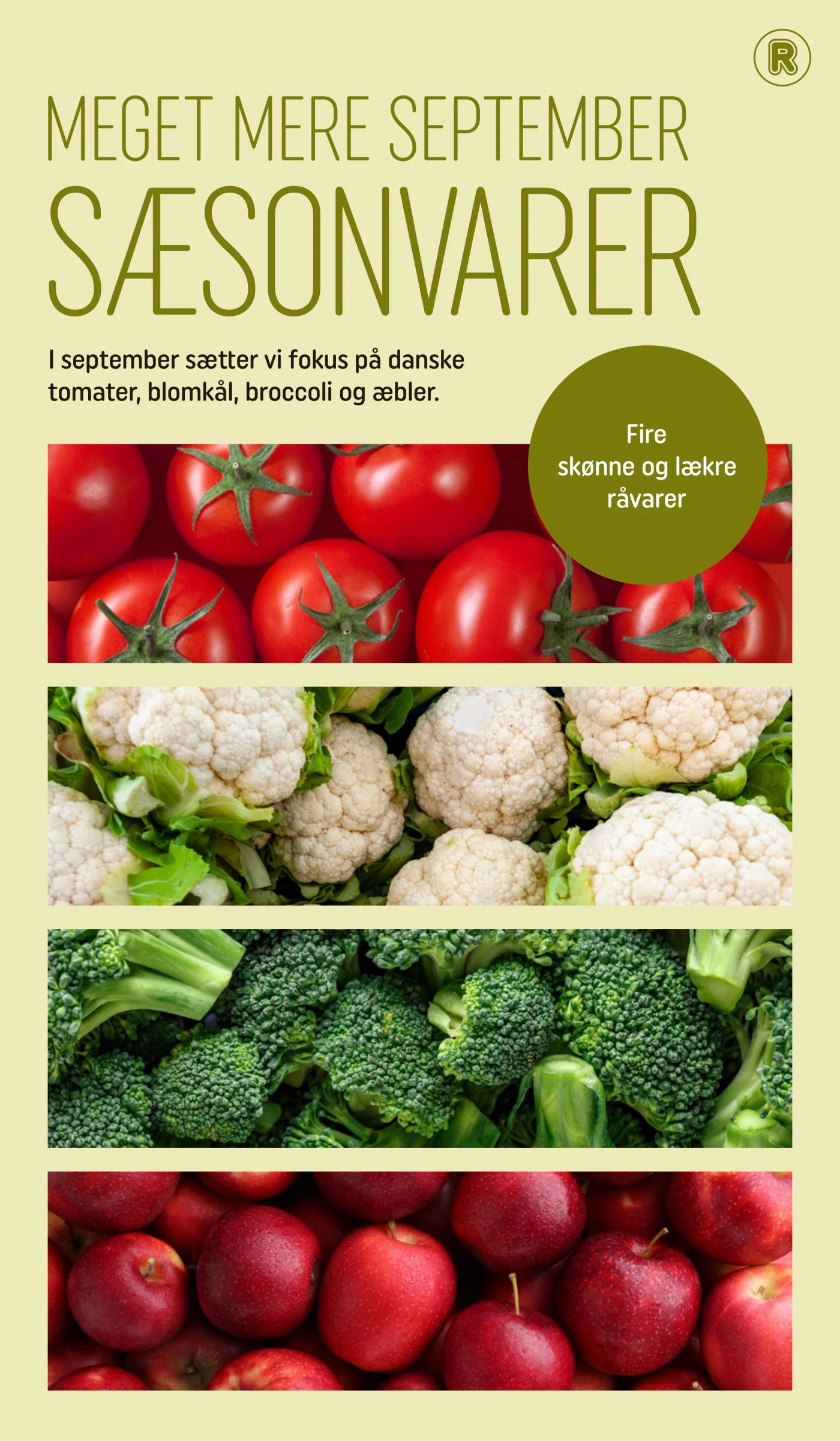 Flyer page 3