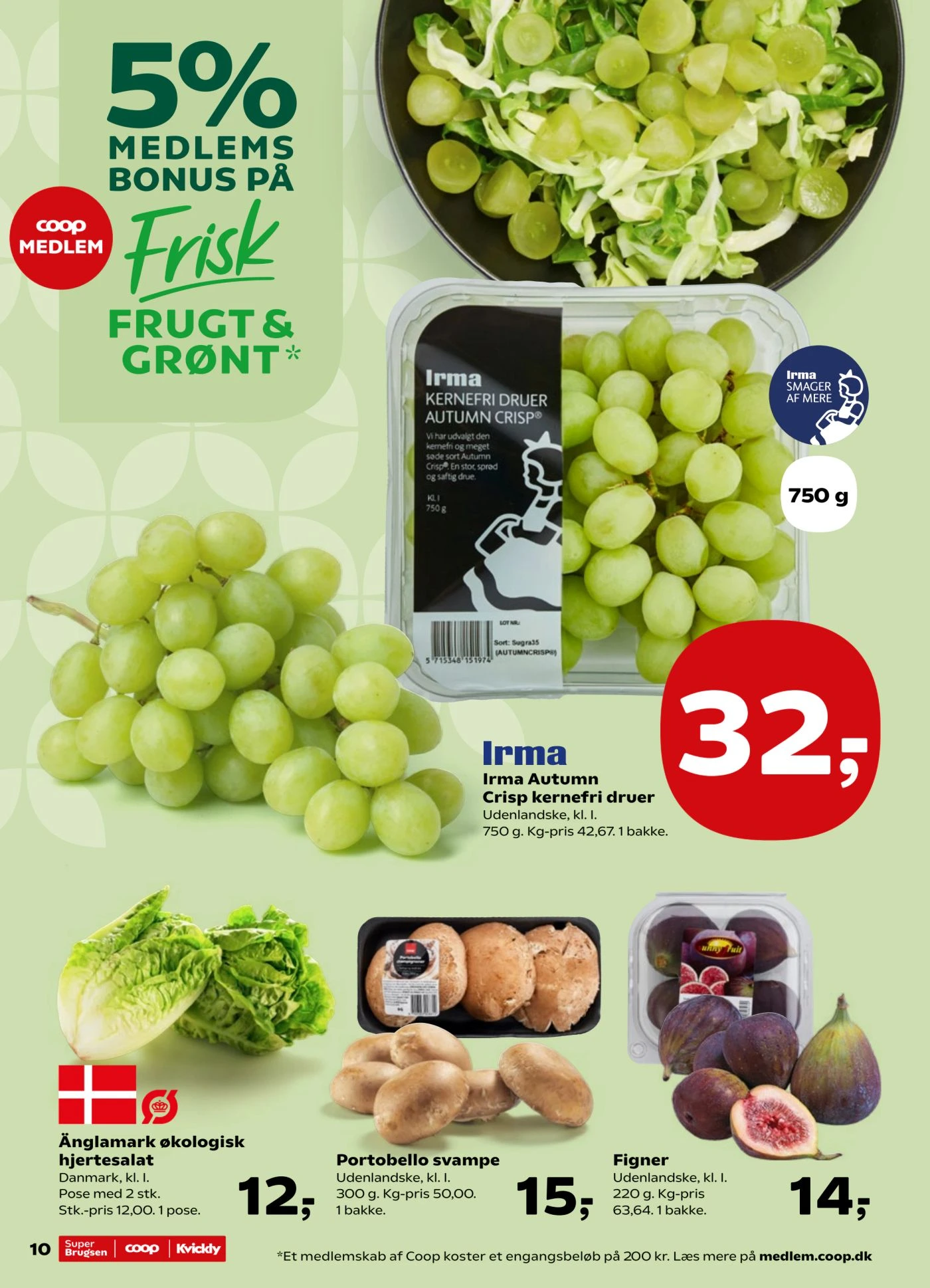 Flyer page 10