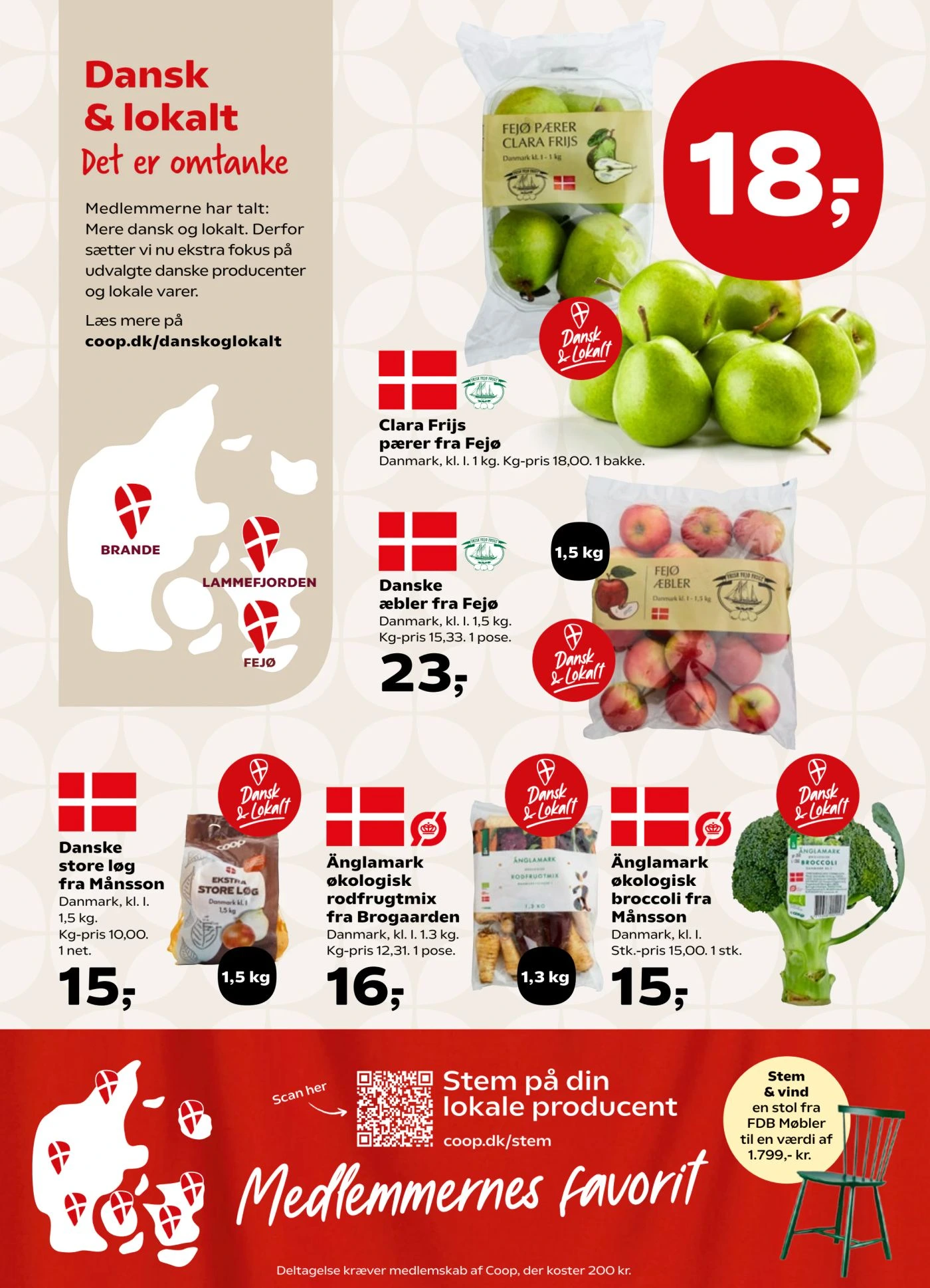 Flyer page 11
