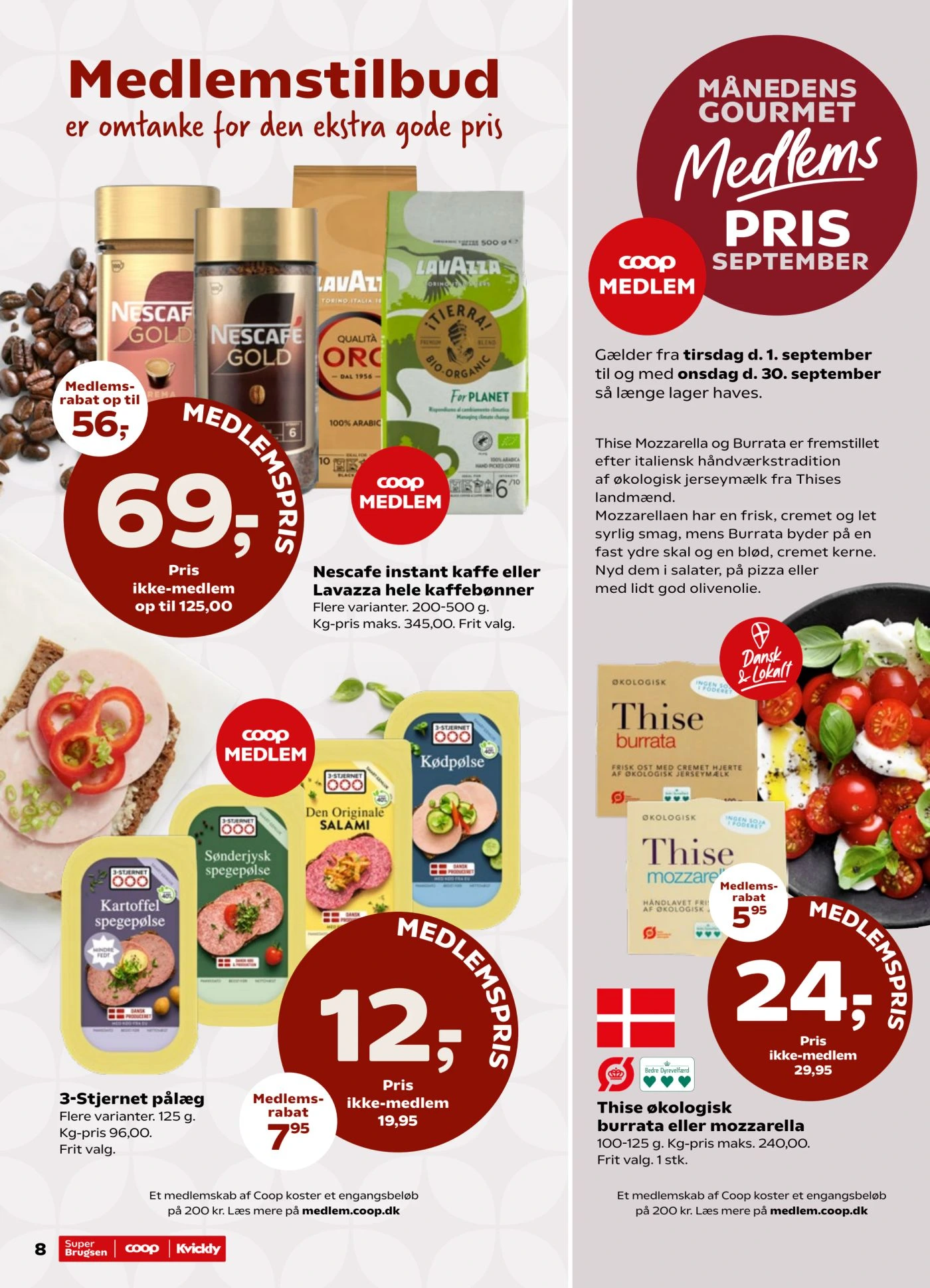 Flyer page 8