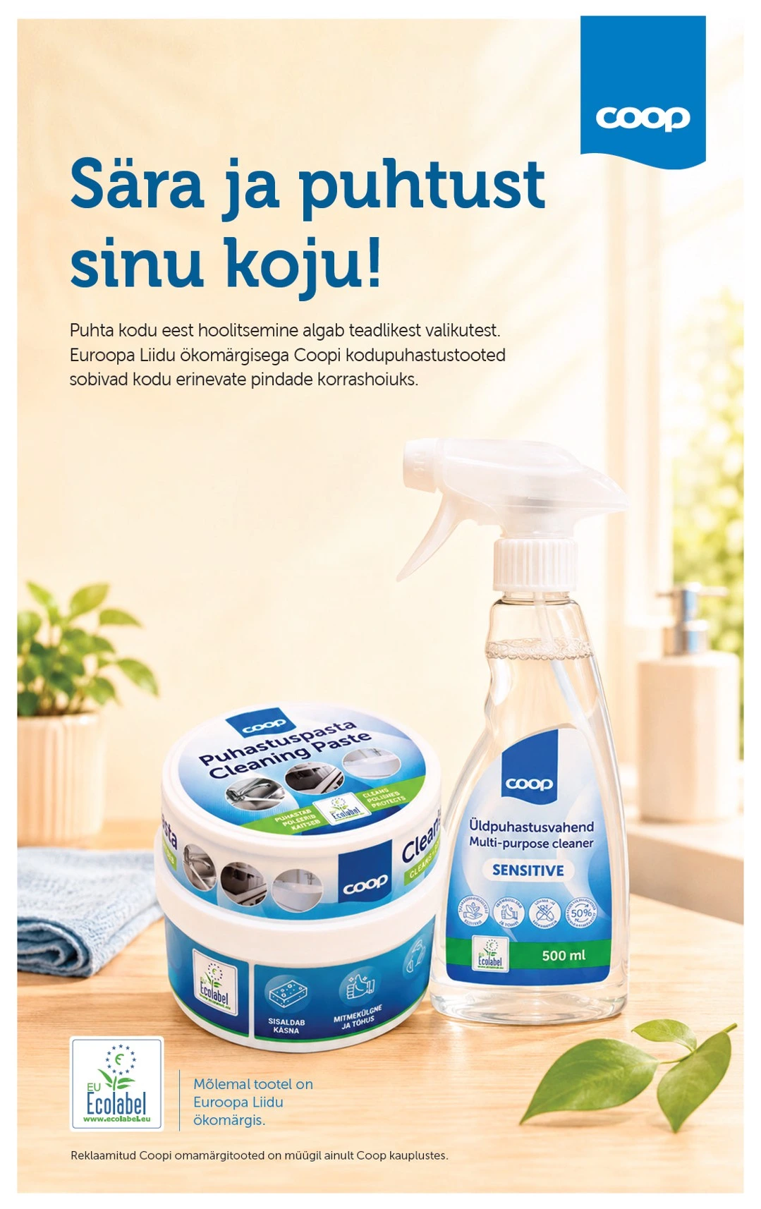 Flyer page 19