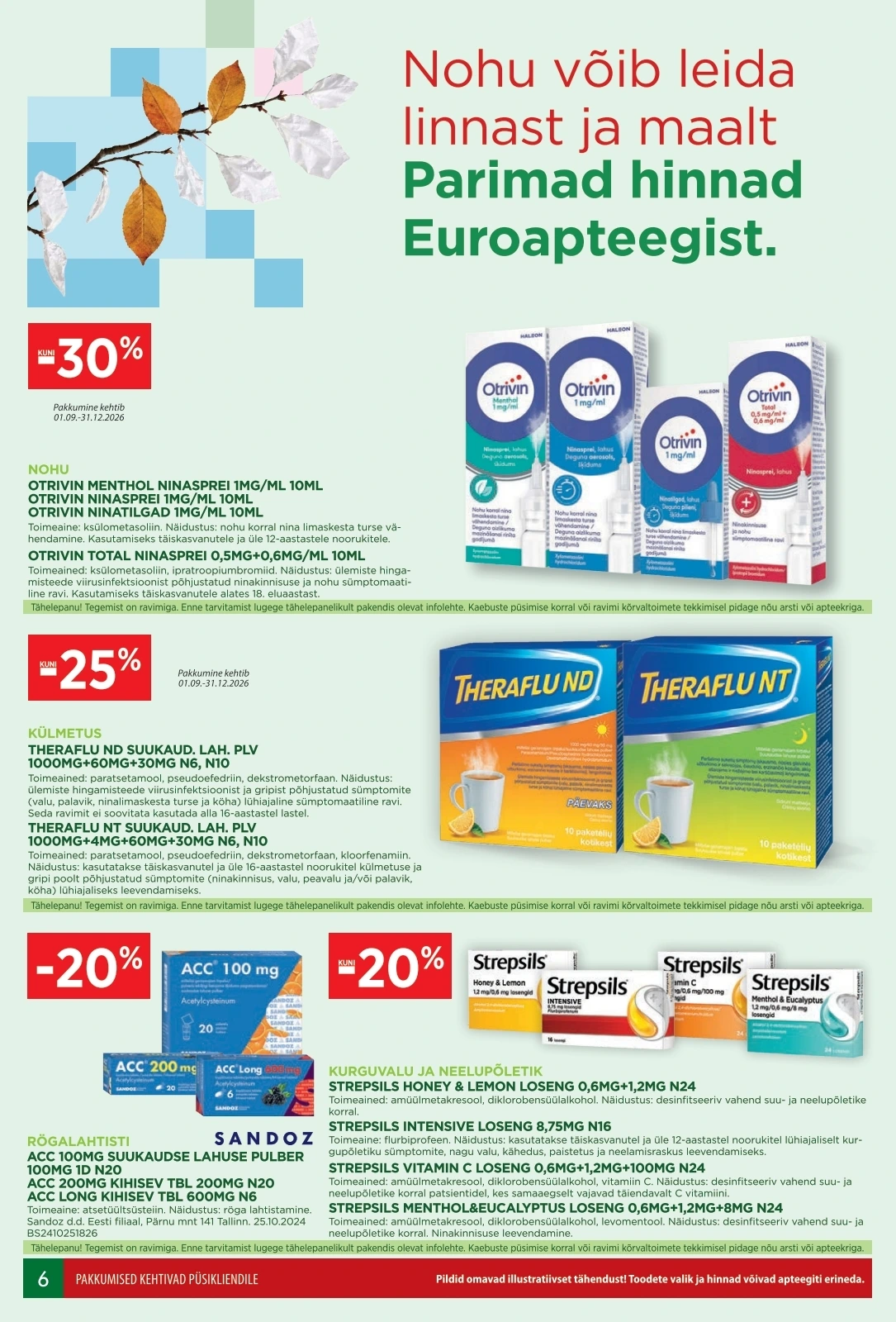 Flyer page 6