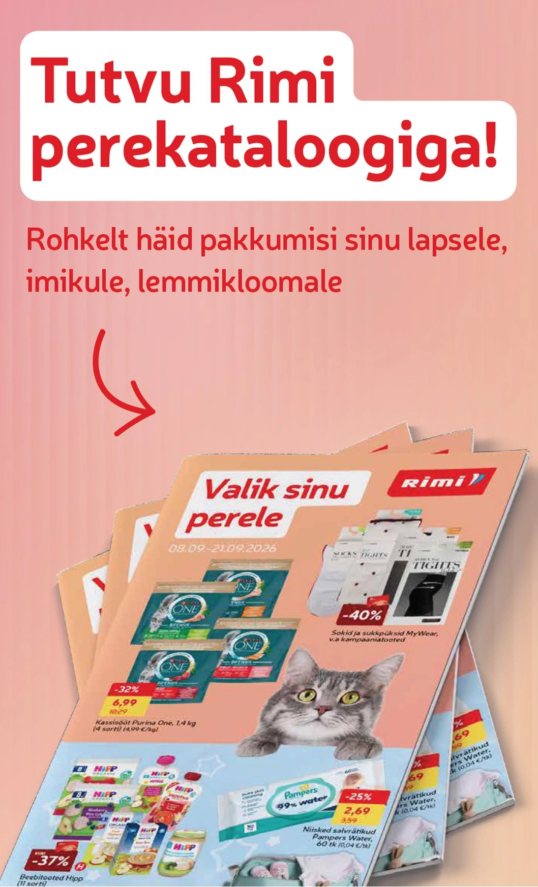 Flyer page 25
