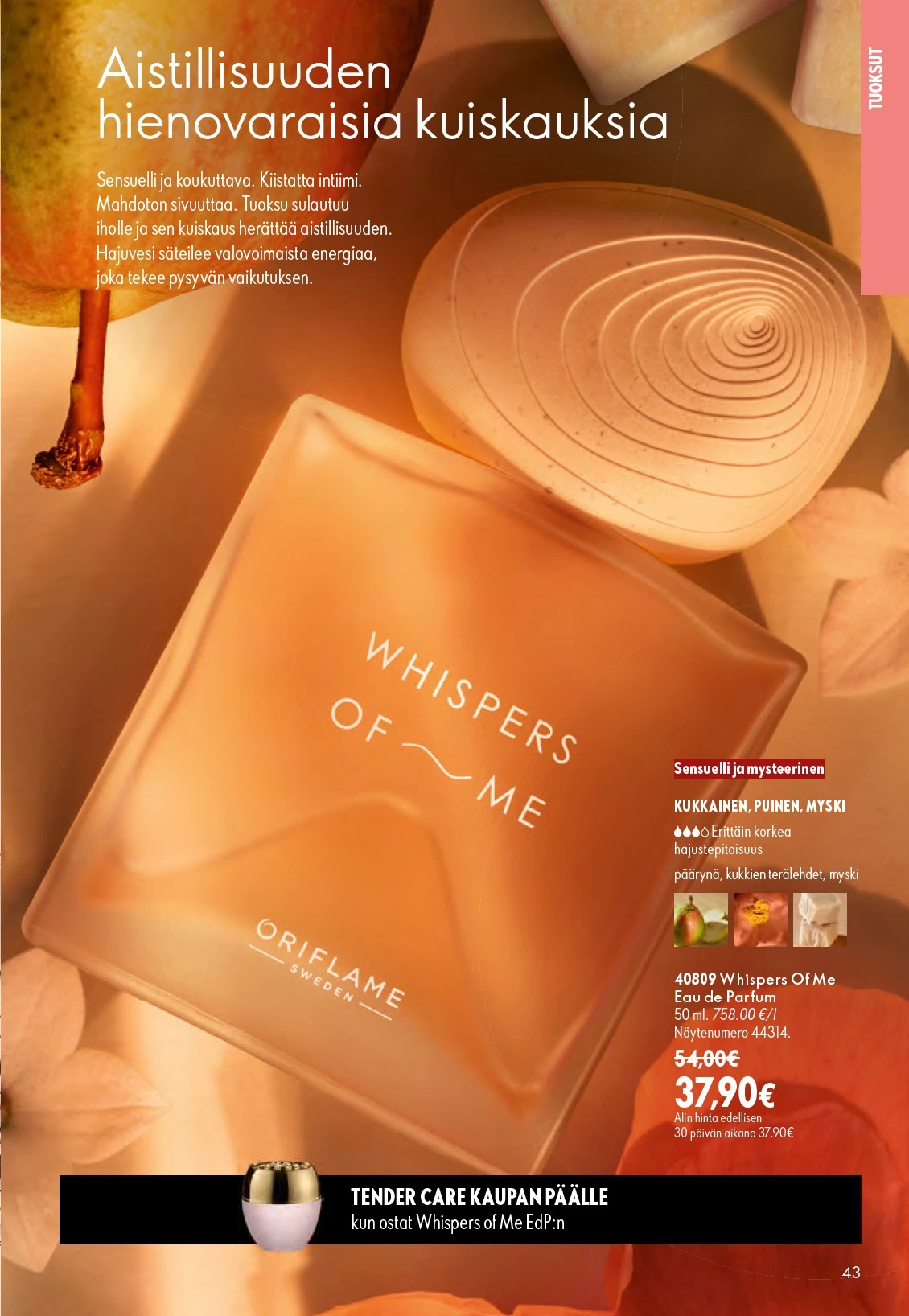 Flyer page 43