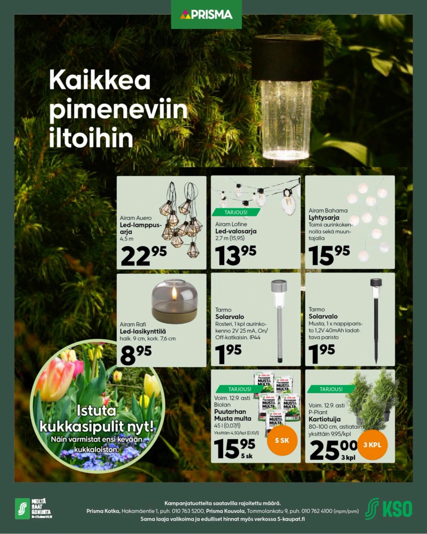 Flyer page 2