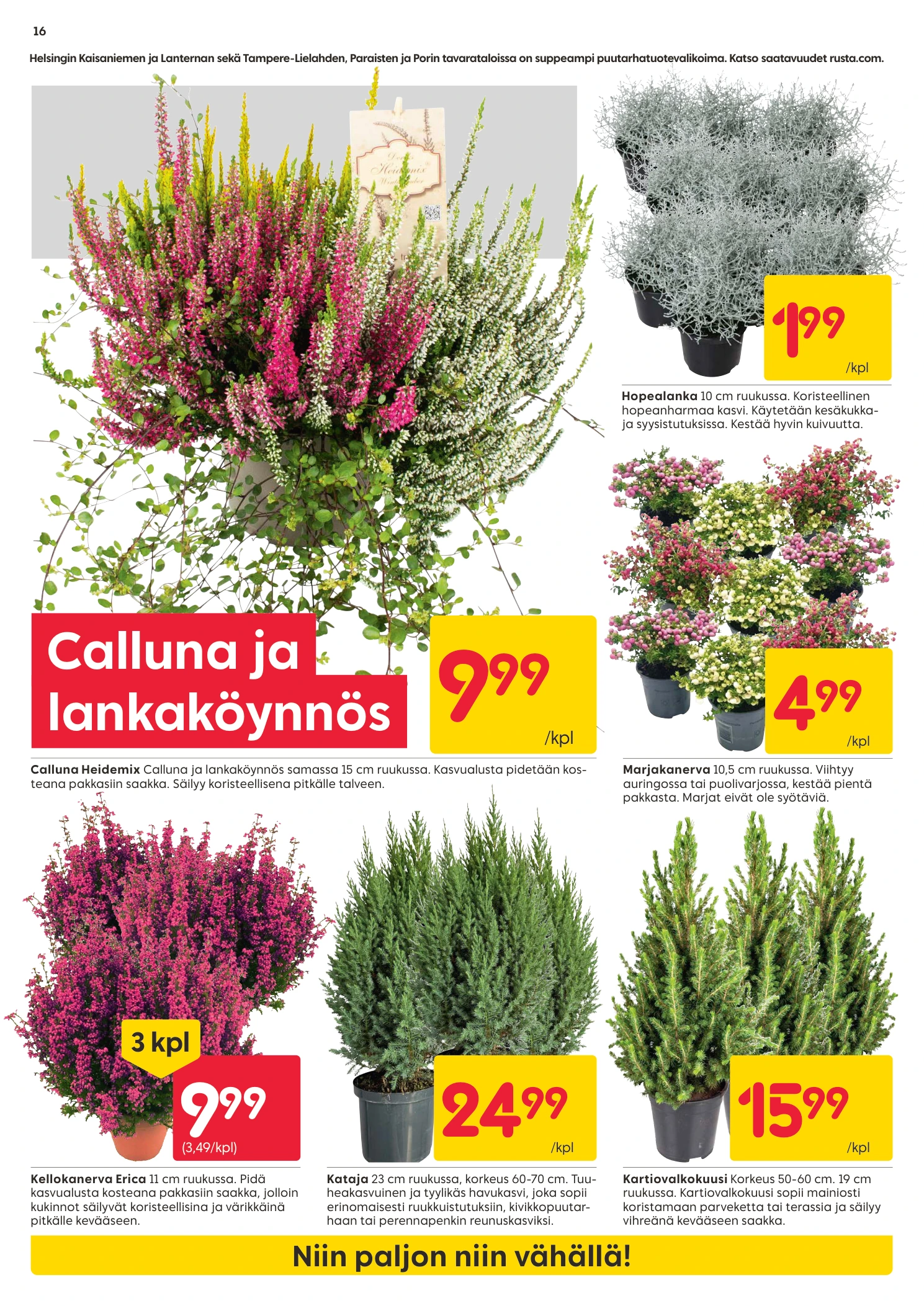 Flyer page 16