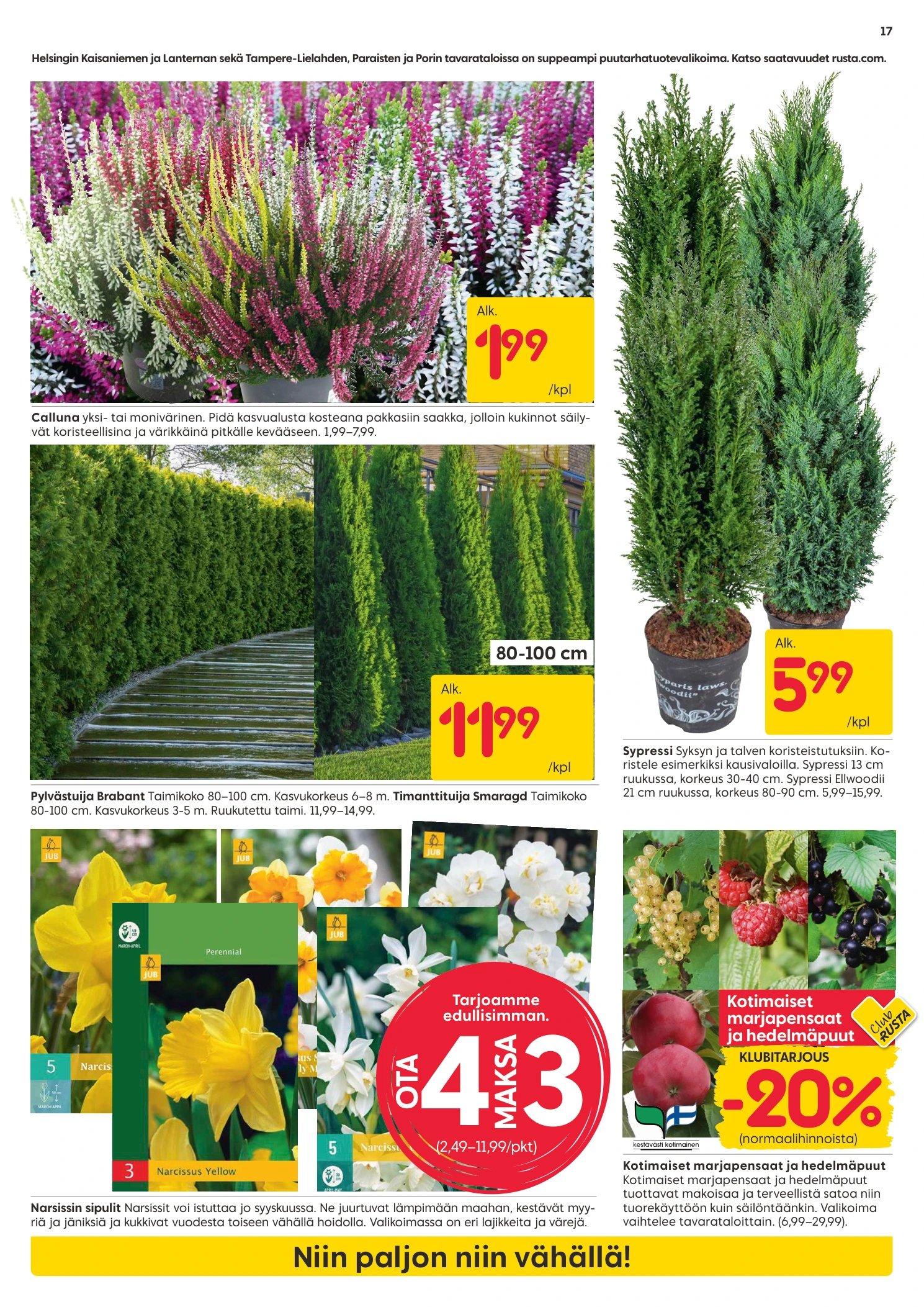 Flyer page 17