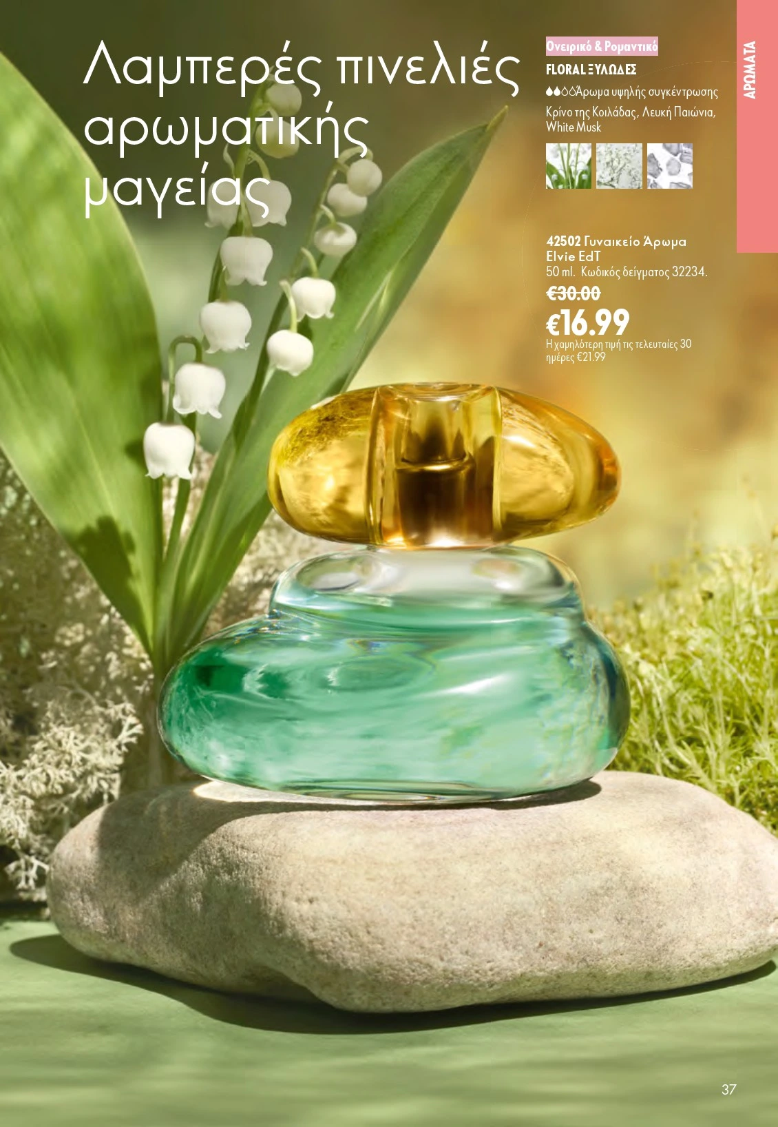 Flyer page 37
