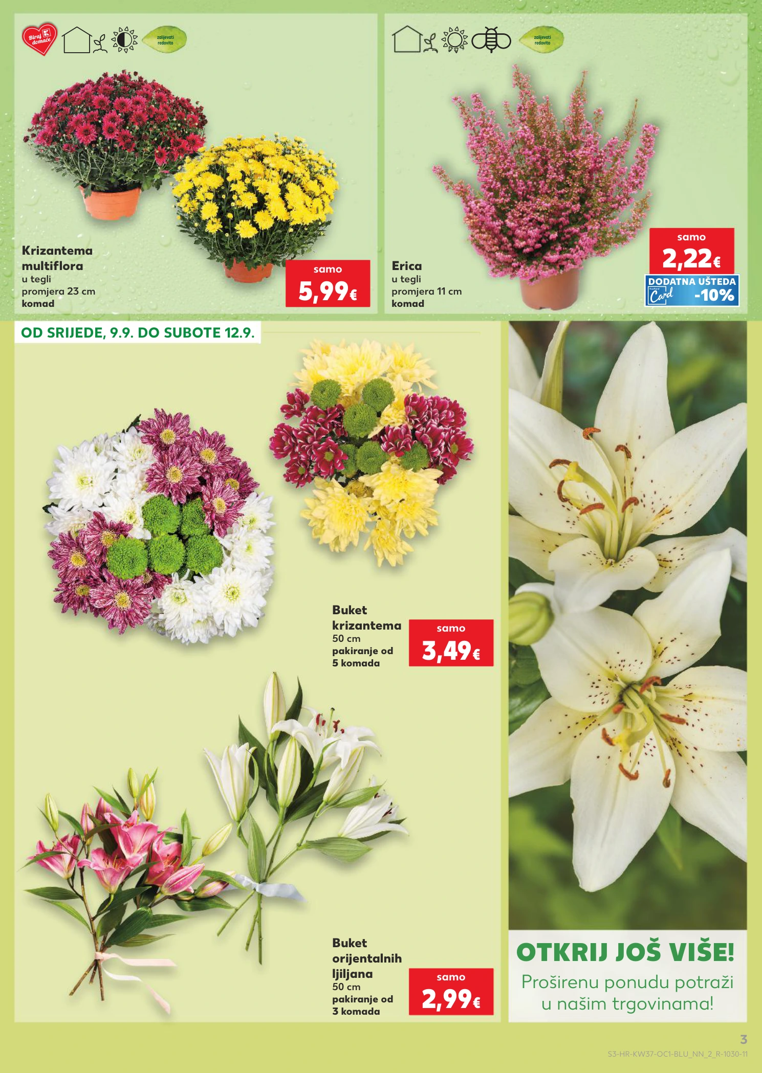 Flyer page 3