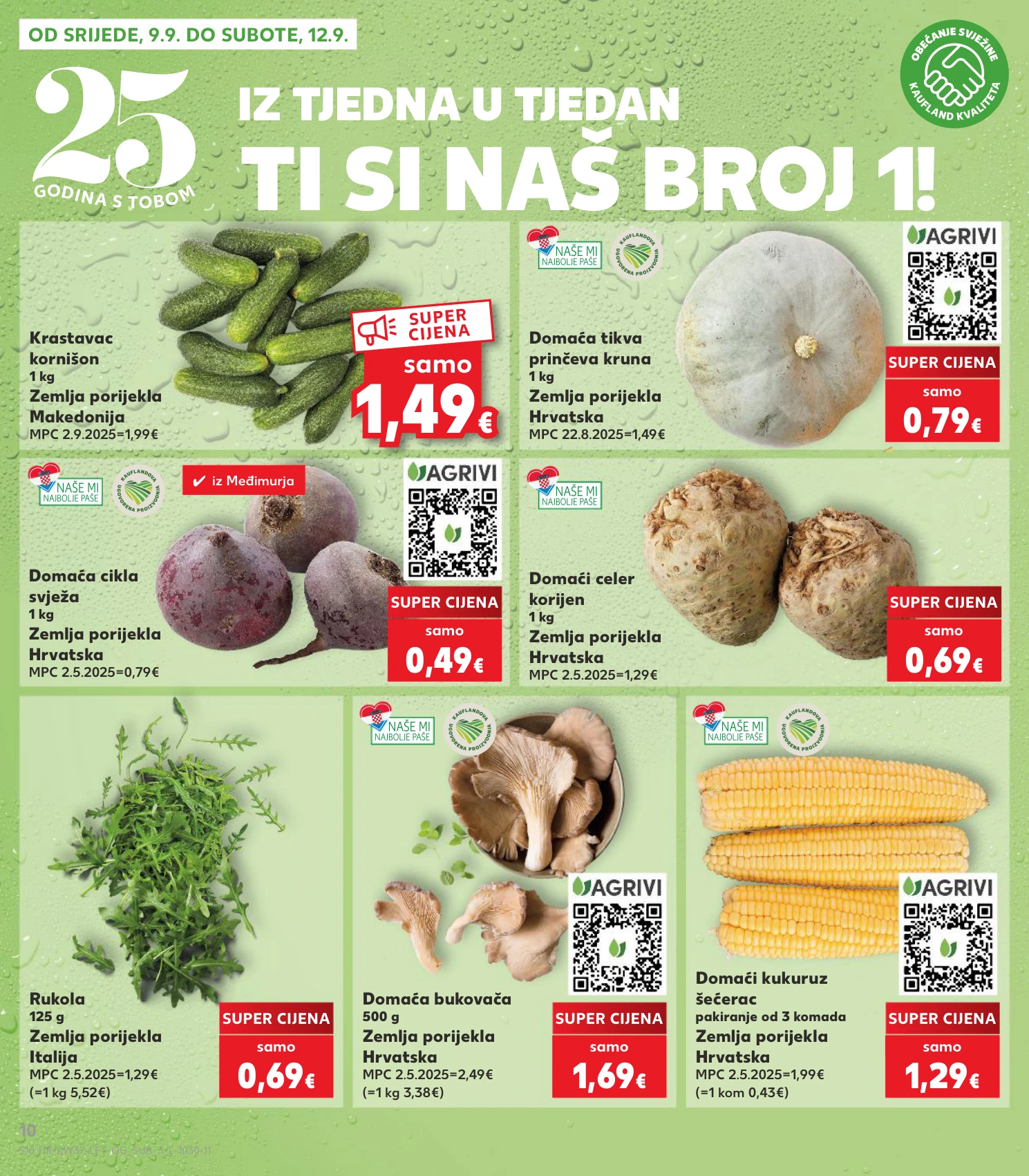 Flyer page 10