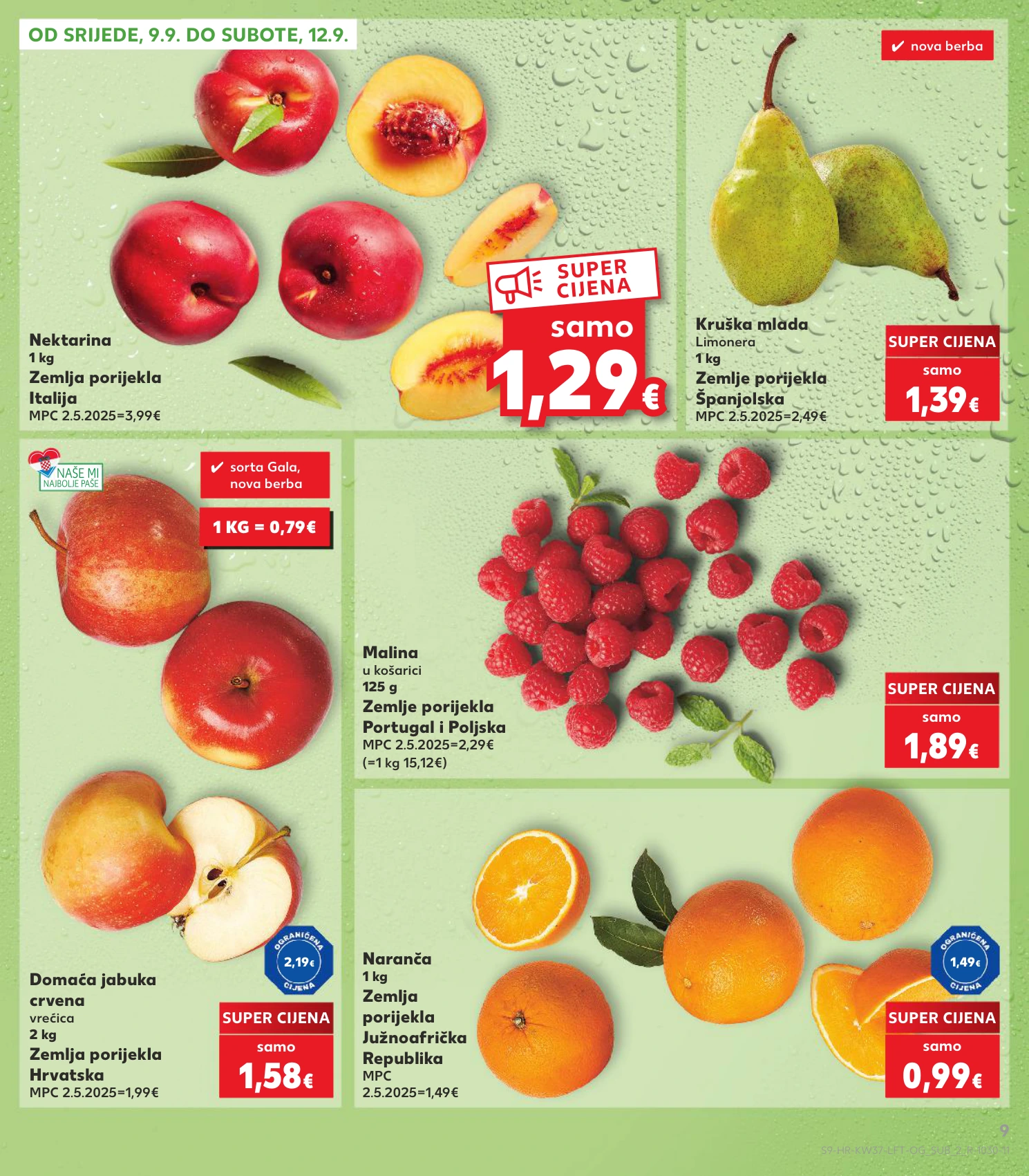 Flyer page 9