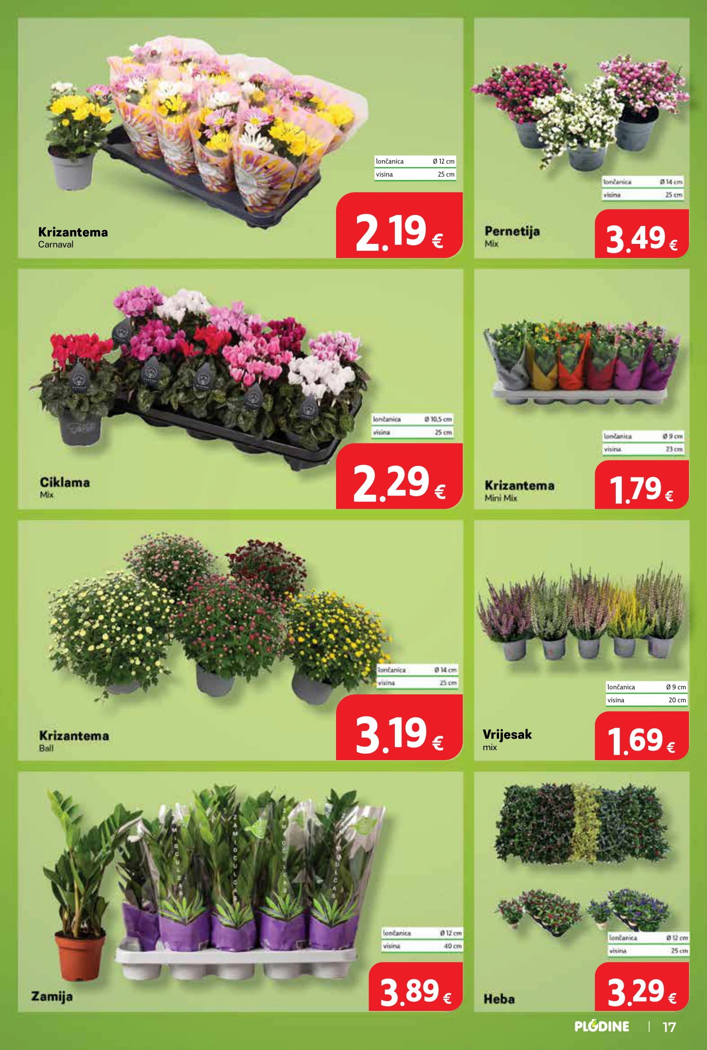 Flyer page 17