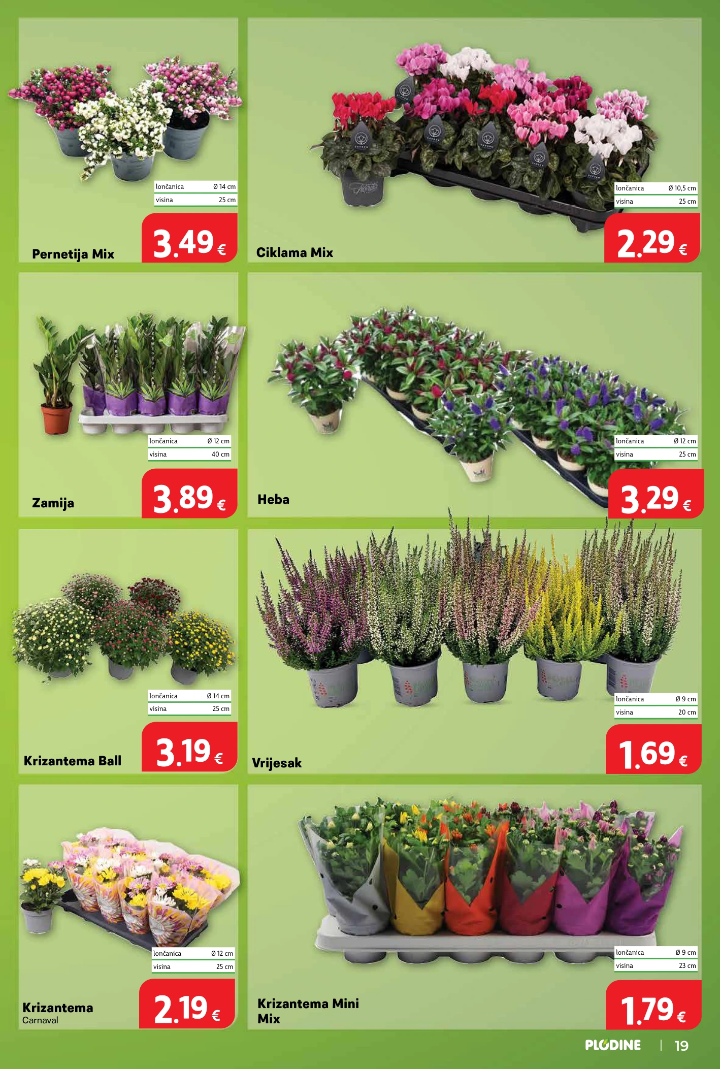 Flyer page 19