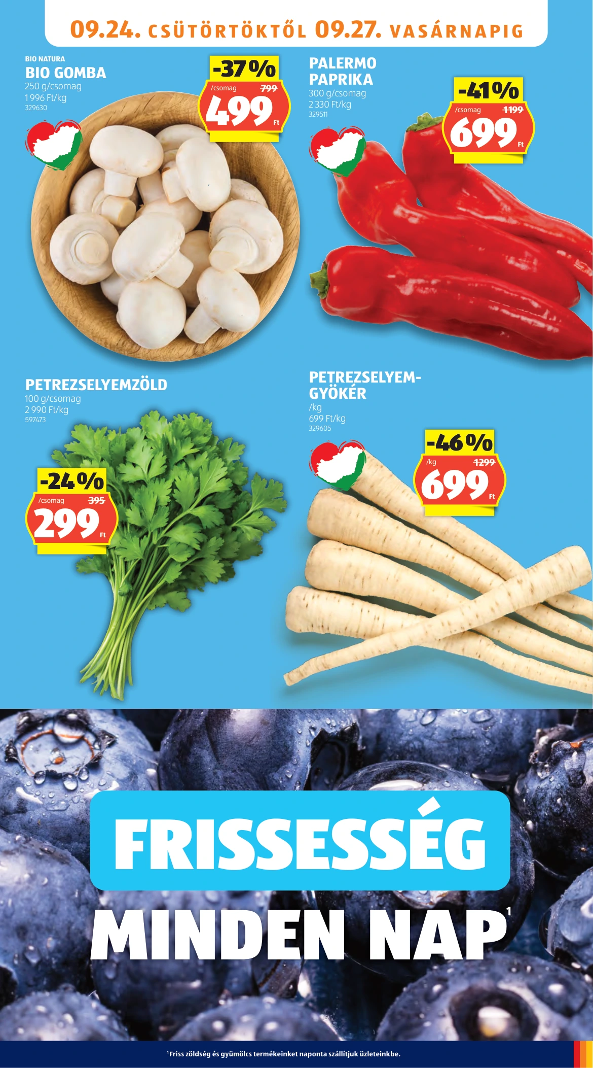 Flyer page 7