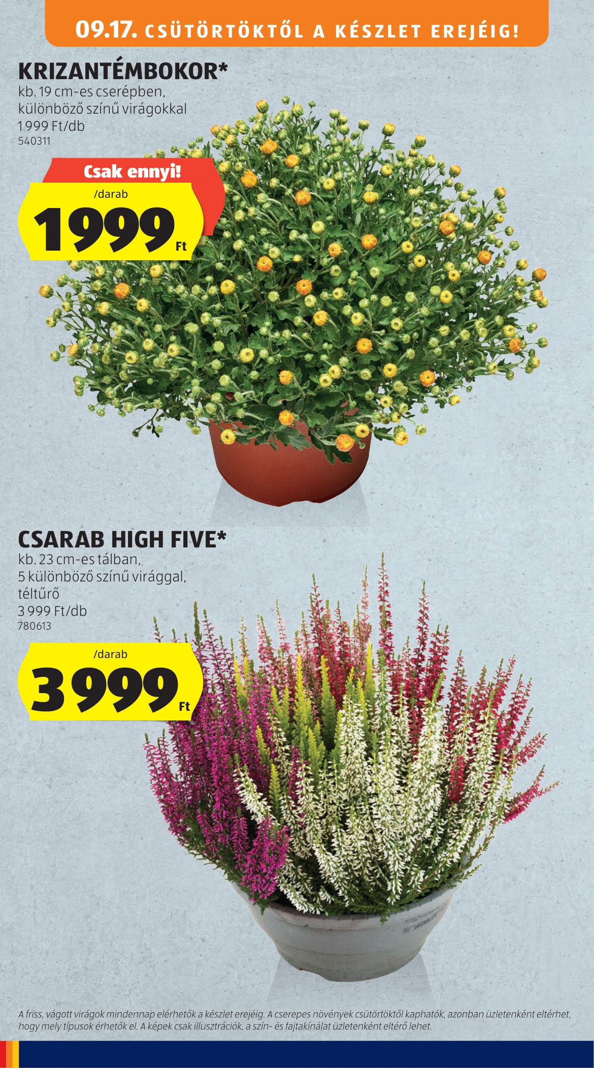 Flyer page 32