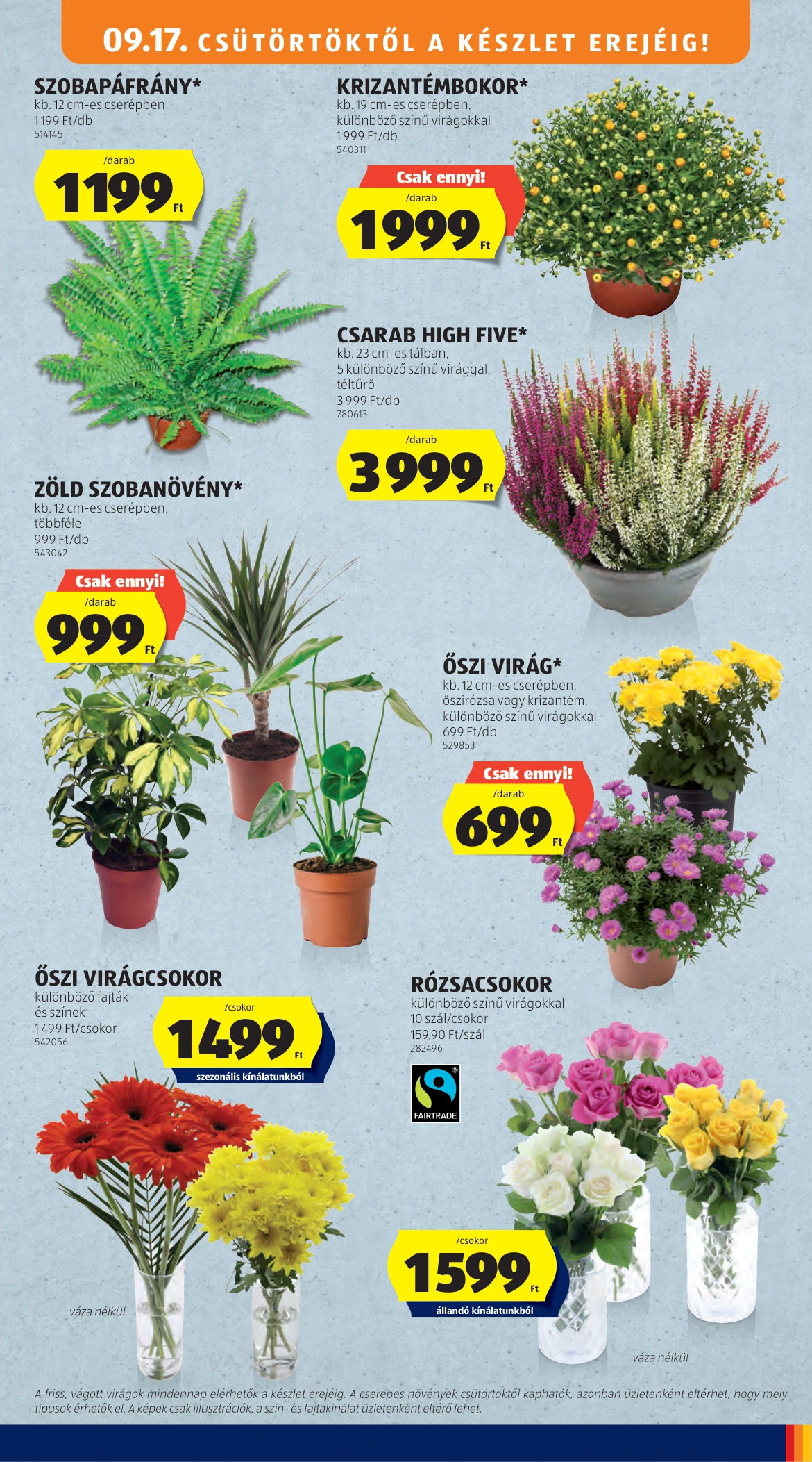 Flyer page 35